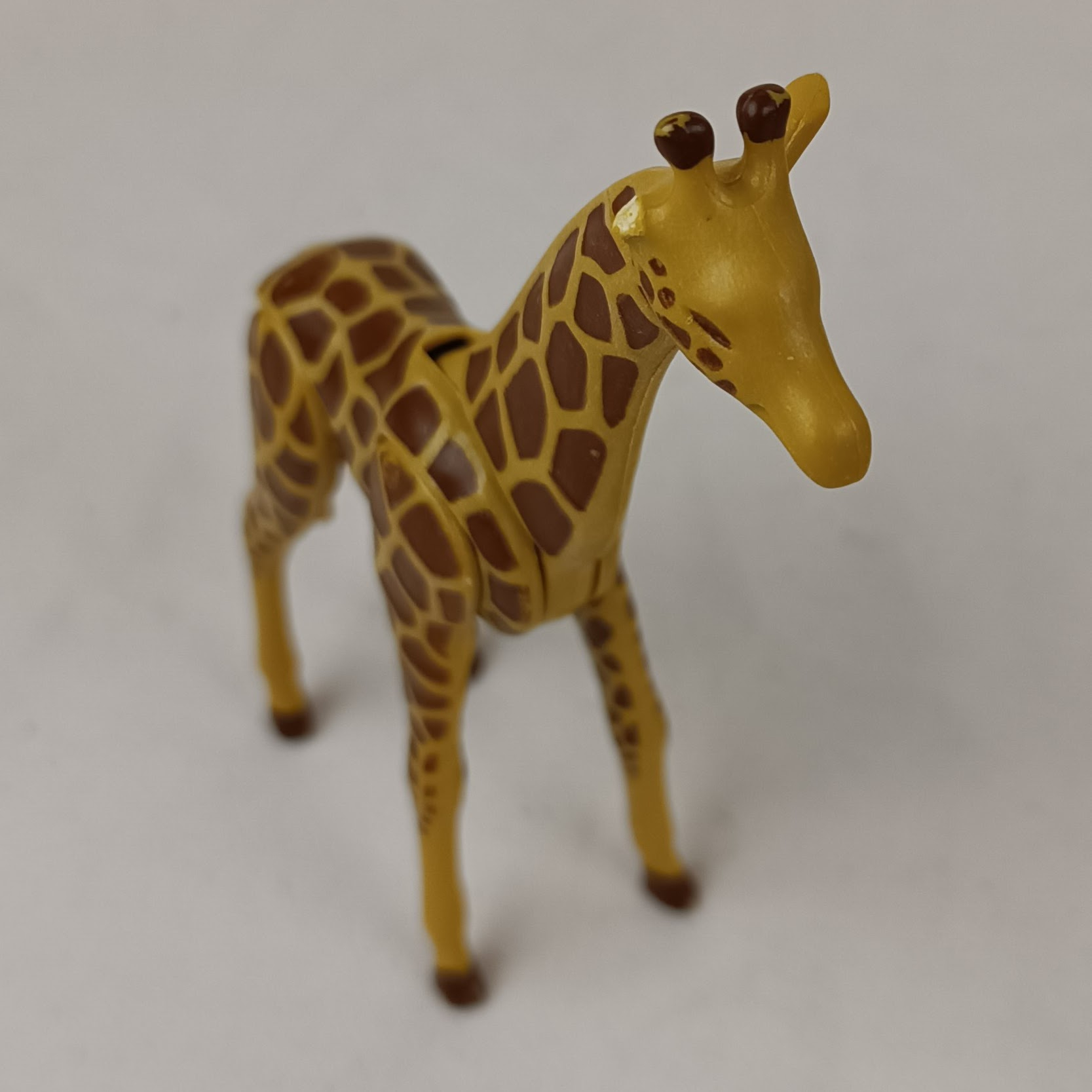 Ensemble Playmobil Zoo, Parc animalier et autres extensions : 175 animaux, 24 personnages Bon état - Vue 40 - 