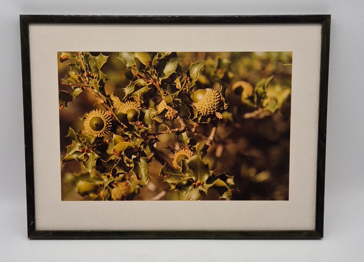 Lot de 2 cadre photo / 39.5 L x 29.5 l cm . - Très bon état - Photo 2