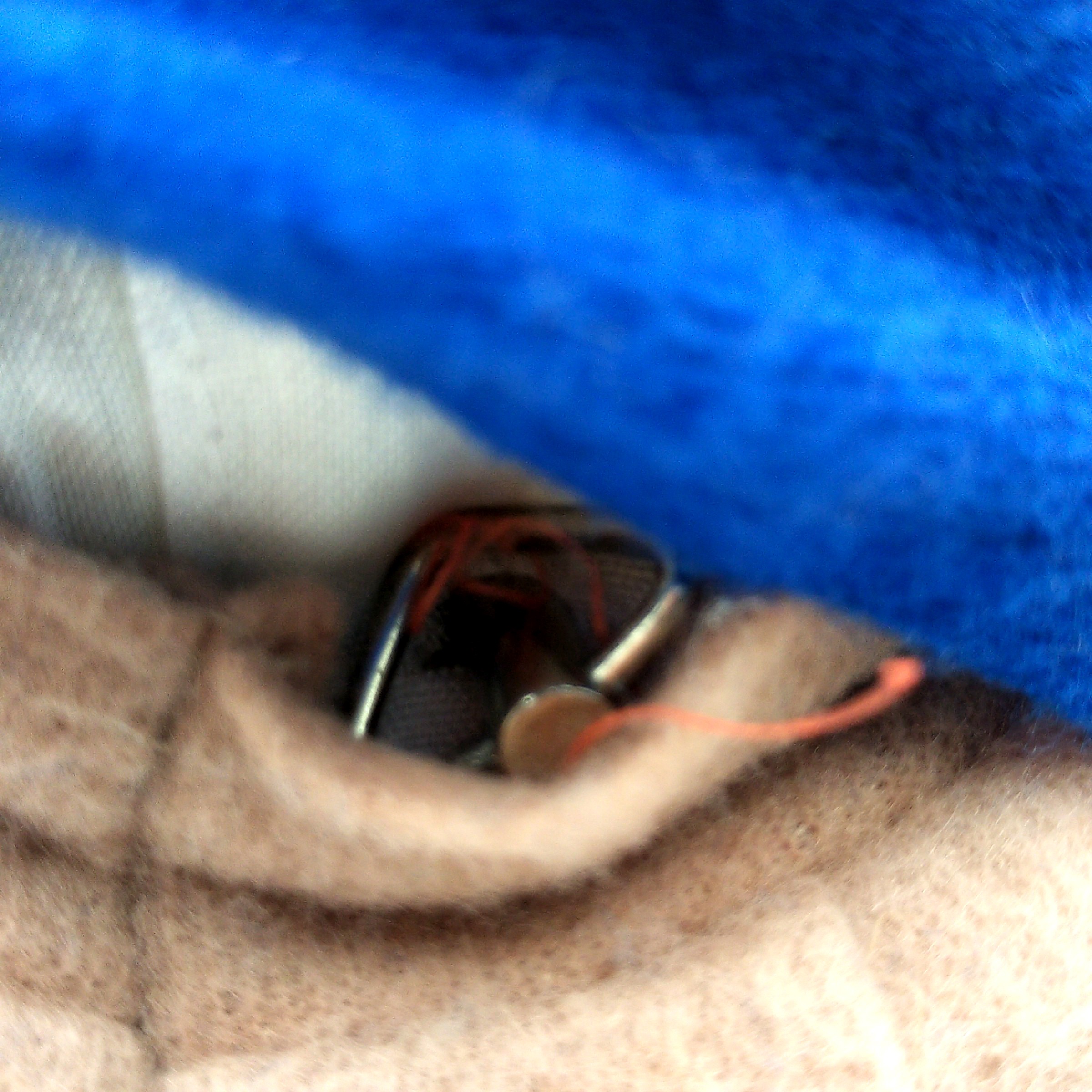 Clown musical, automate en porcelaine avec sa guitare, 32 cm, Vintage. Très bon état - Vue 9 - 