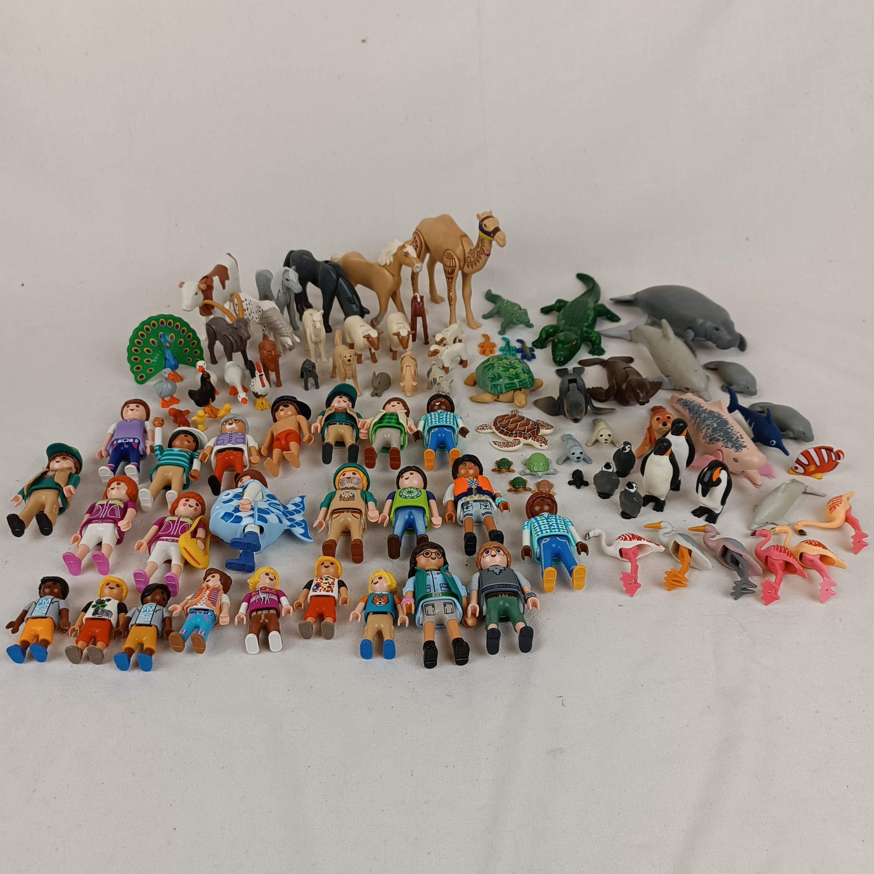 Ensemble Playmobil Zoo, Parc animalier et autres extensions : 175 animaux, 24 personnages Bon état - Vue 34 - 