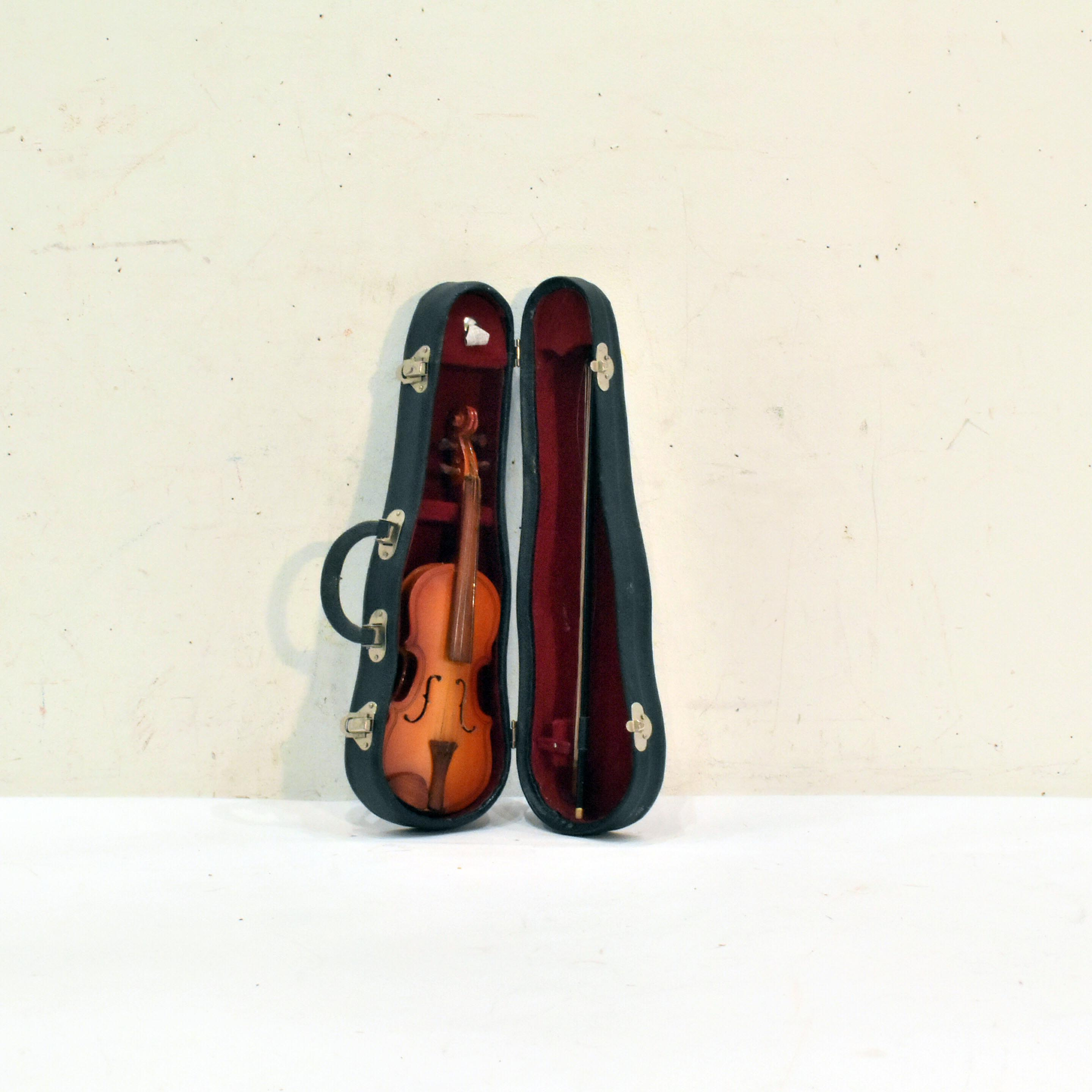 PLUS PETIT VIOLON plus petit violon avec étui modèle instrument