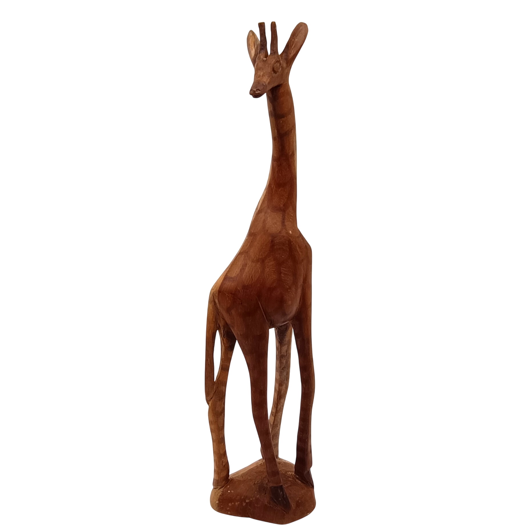 Girafe - Photo 0