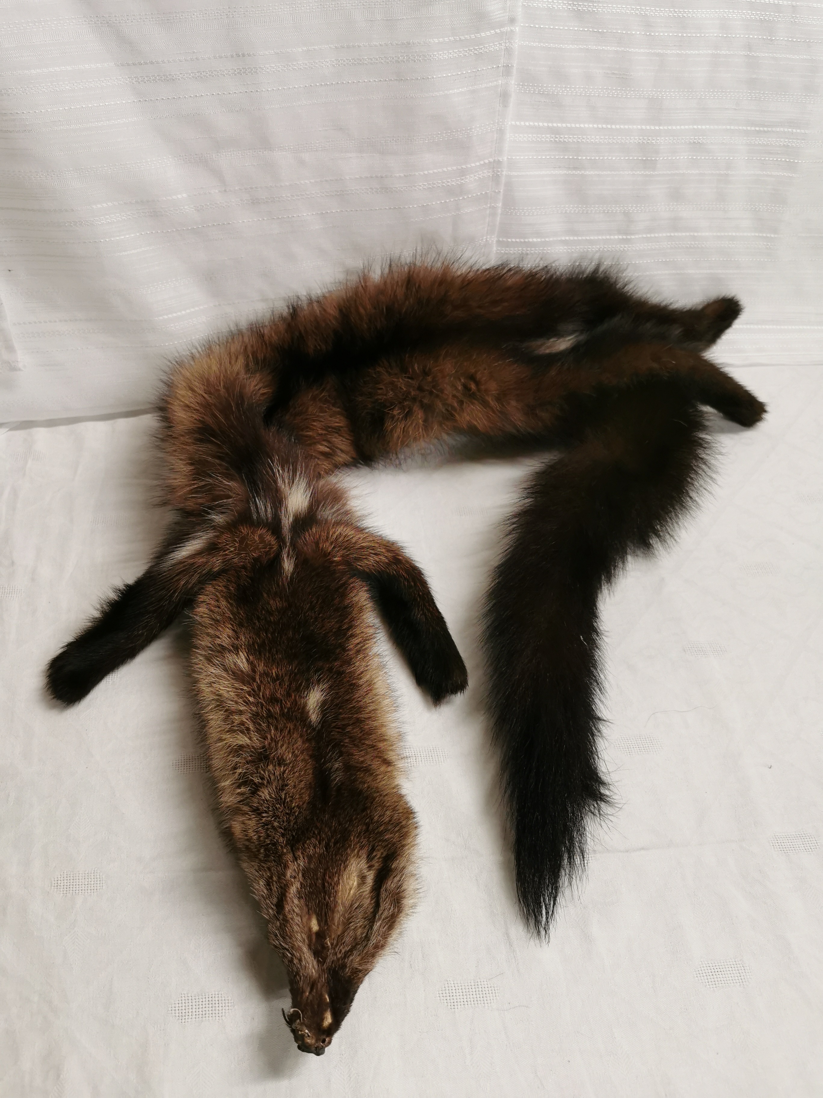  écharpe / étole en fourrure ; vison - accessoires et Bagagerie. Bon état - Vue 2 - 