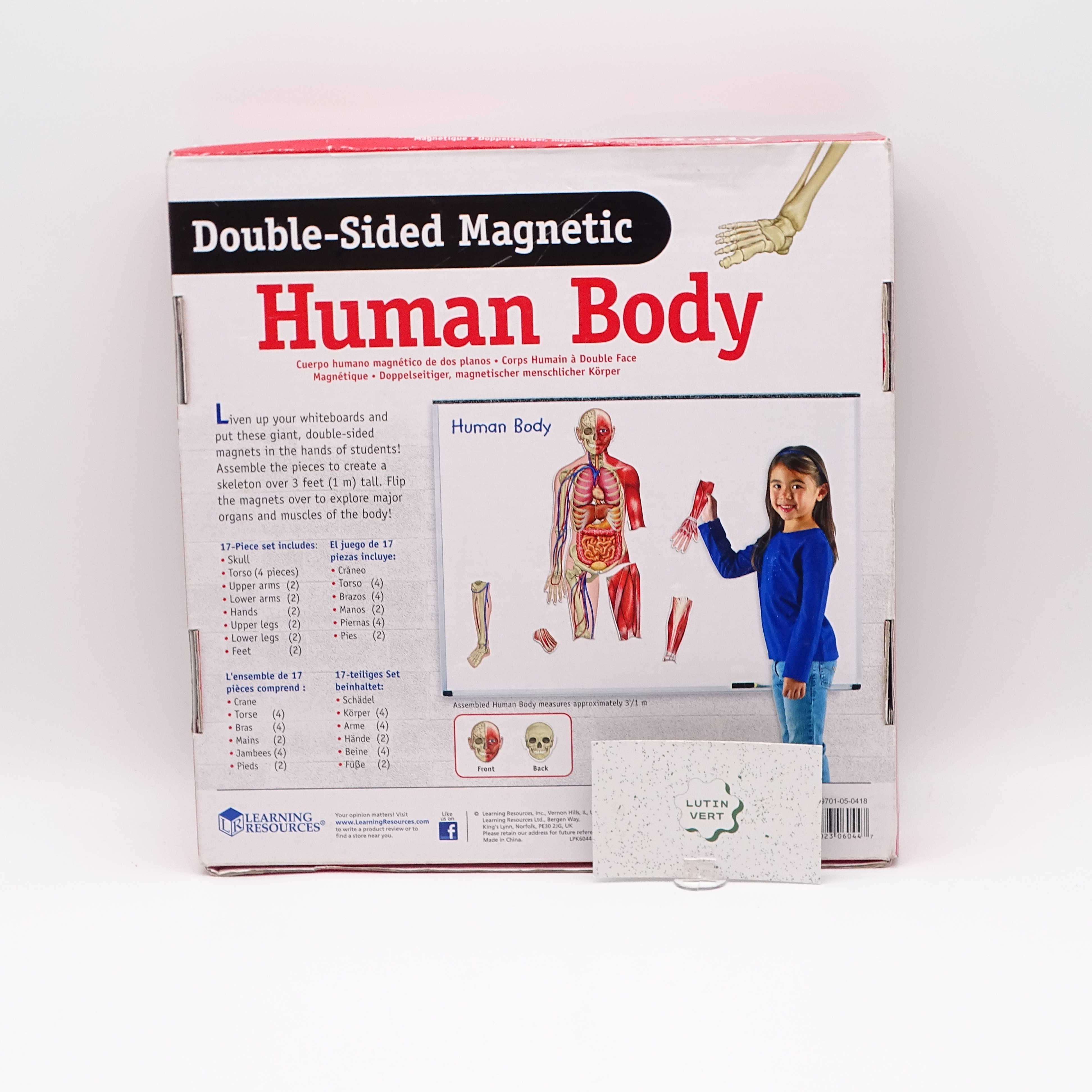 Voir photo 4 de Human body magnetic d'occasion LEARNING RESOURCES - Dès 5 ans | Ref 13981 Human body magnetic d'occasion LEARNING RESOURCES - Dès 5 ans | Ref 13981 Très bon état - Vue 4 -