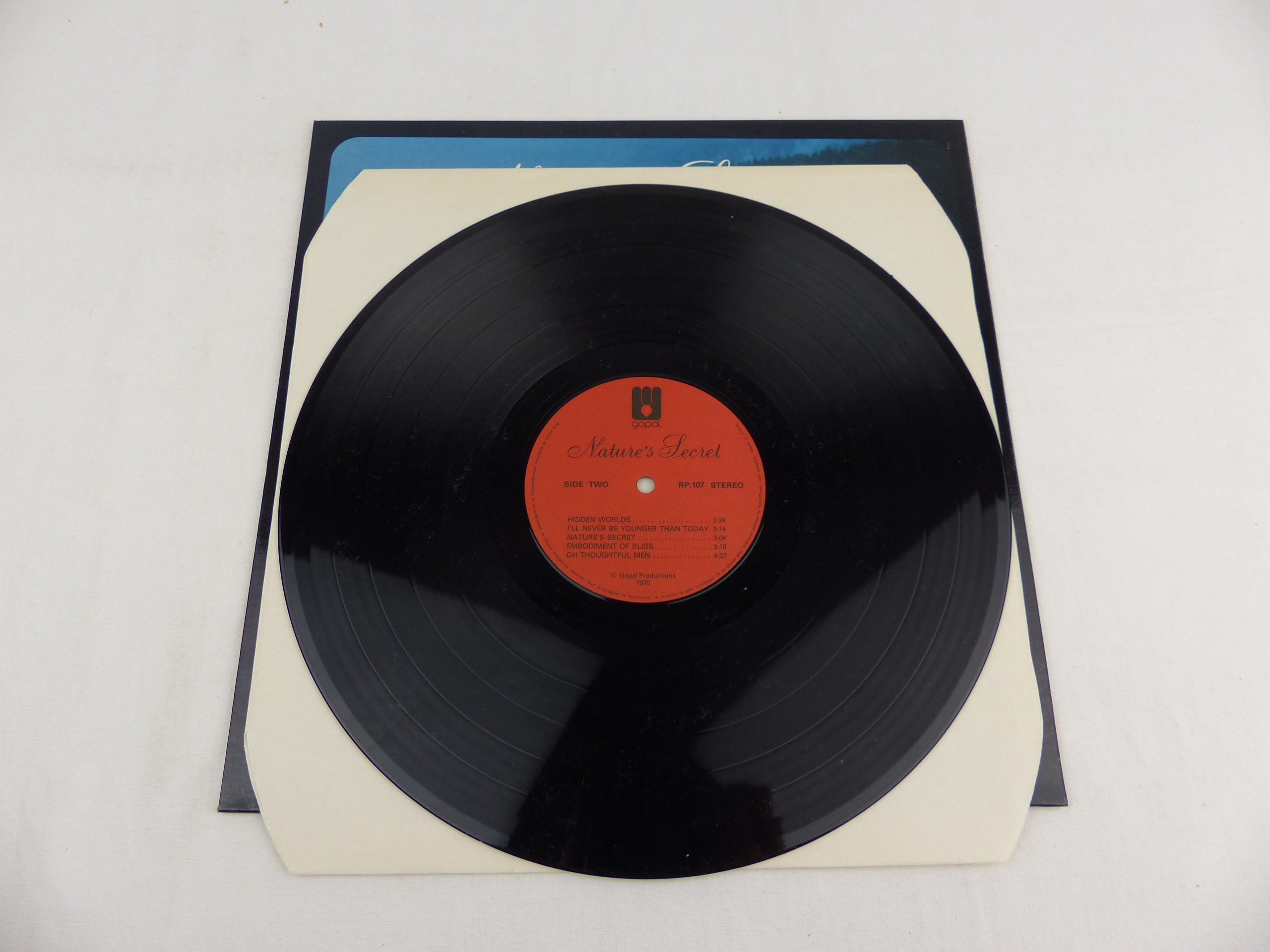 Voir photo 5 de Vinyle 33 tours Nature’s Secret album ambient folk 1979 Vinyle 33 tours Nature’s Secret album ambient folk 1979 État correct - Vue 5 -