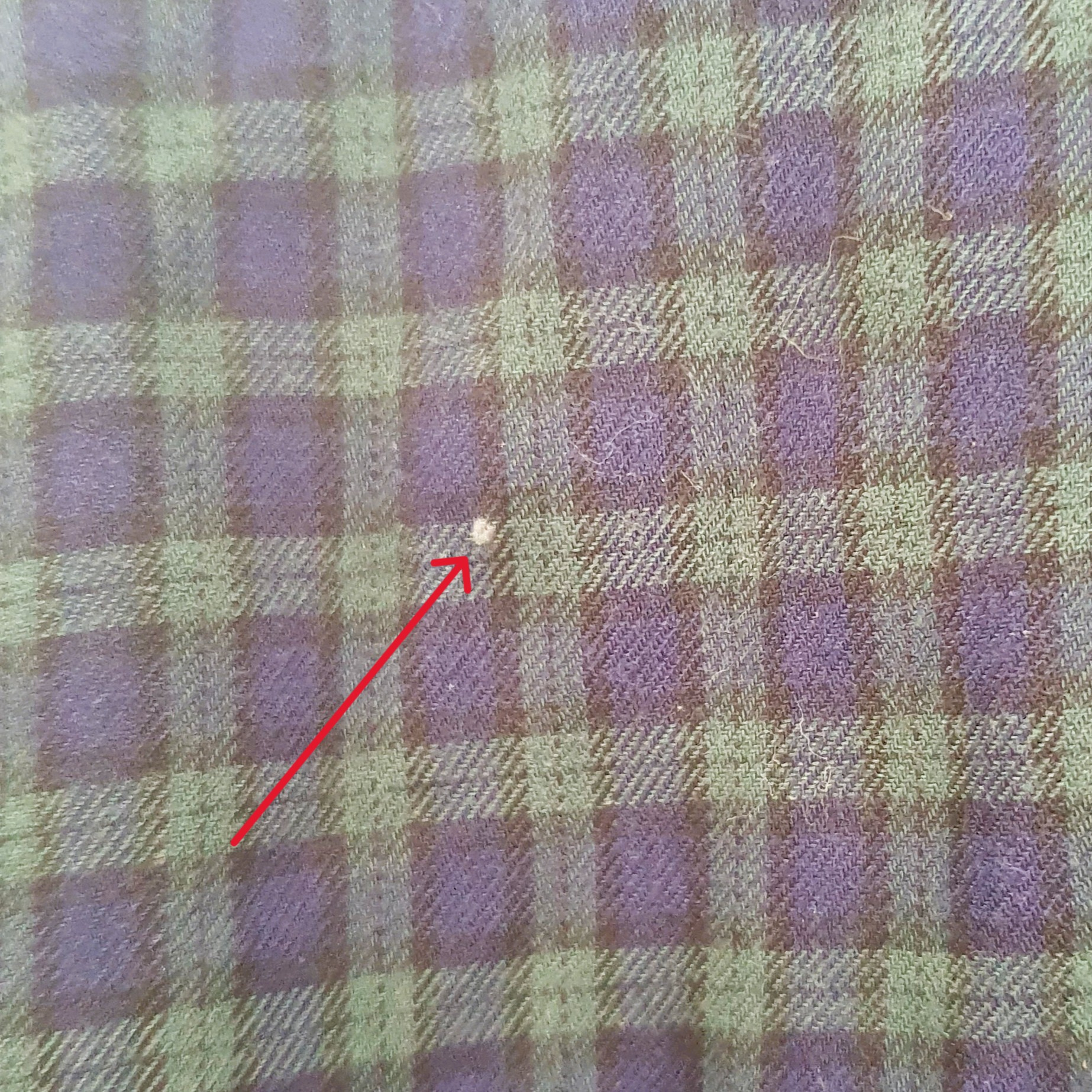 Chemise à carreaux Ralph Lauren taille L bleu & vert - Photo 5