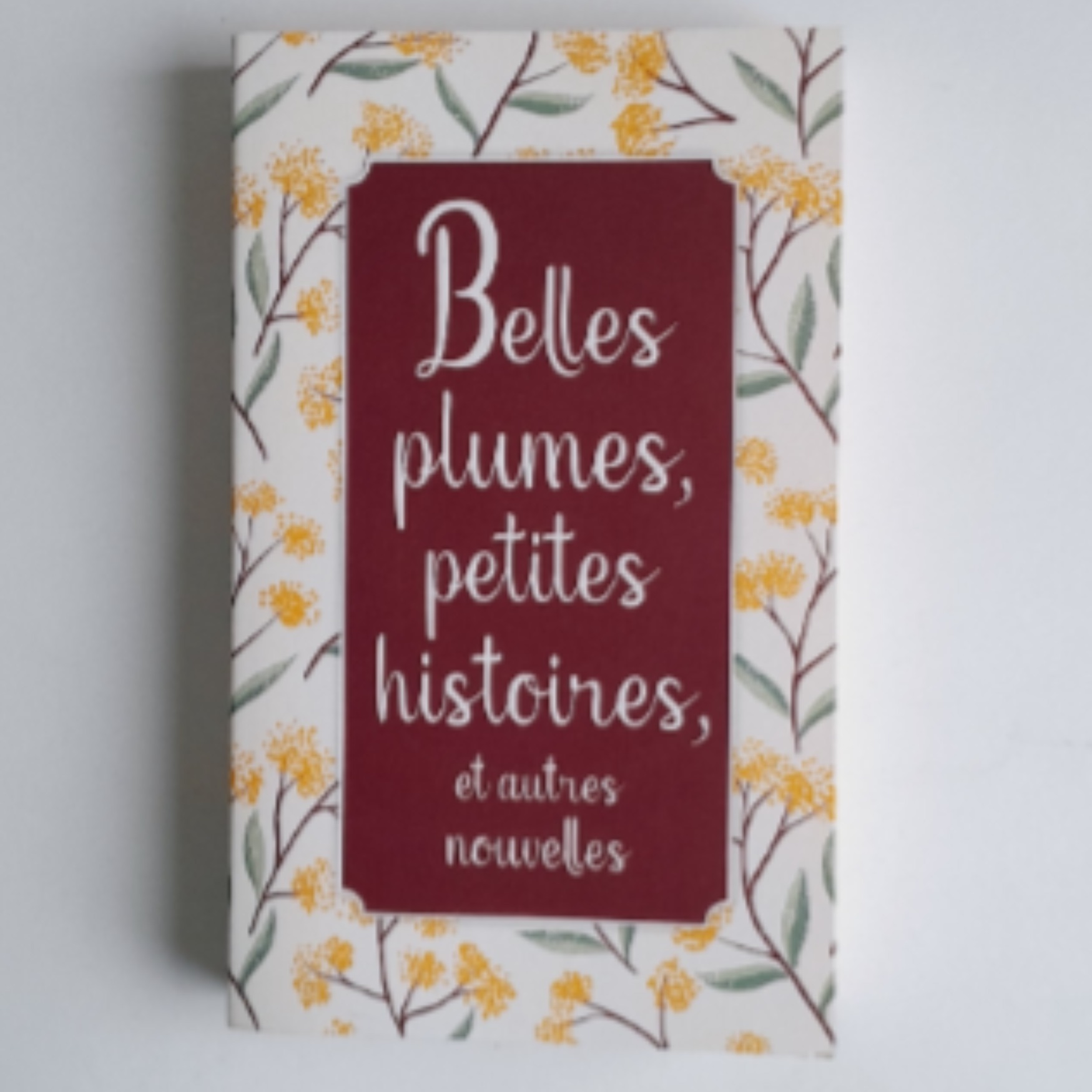 Belles plumes, petites histoires et autres nouvelles - Collectif - Photo 0