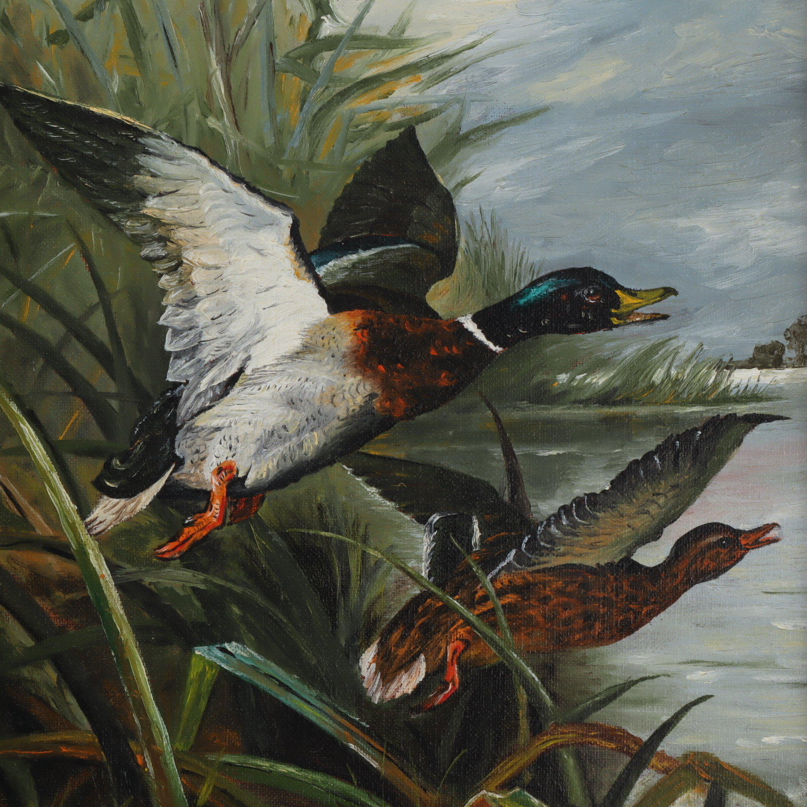 Tableau Envol de canards - Photo 2