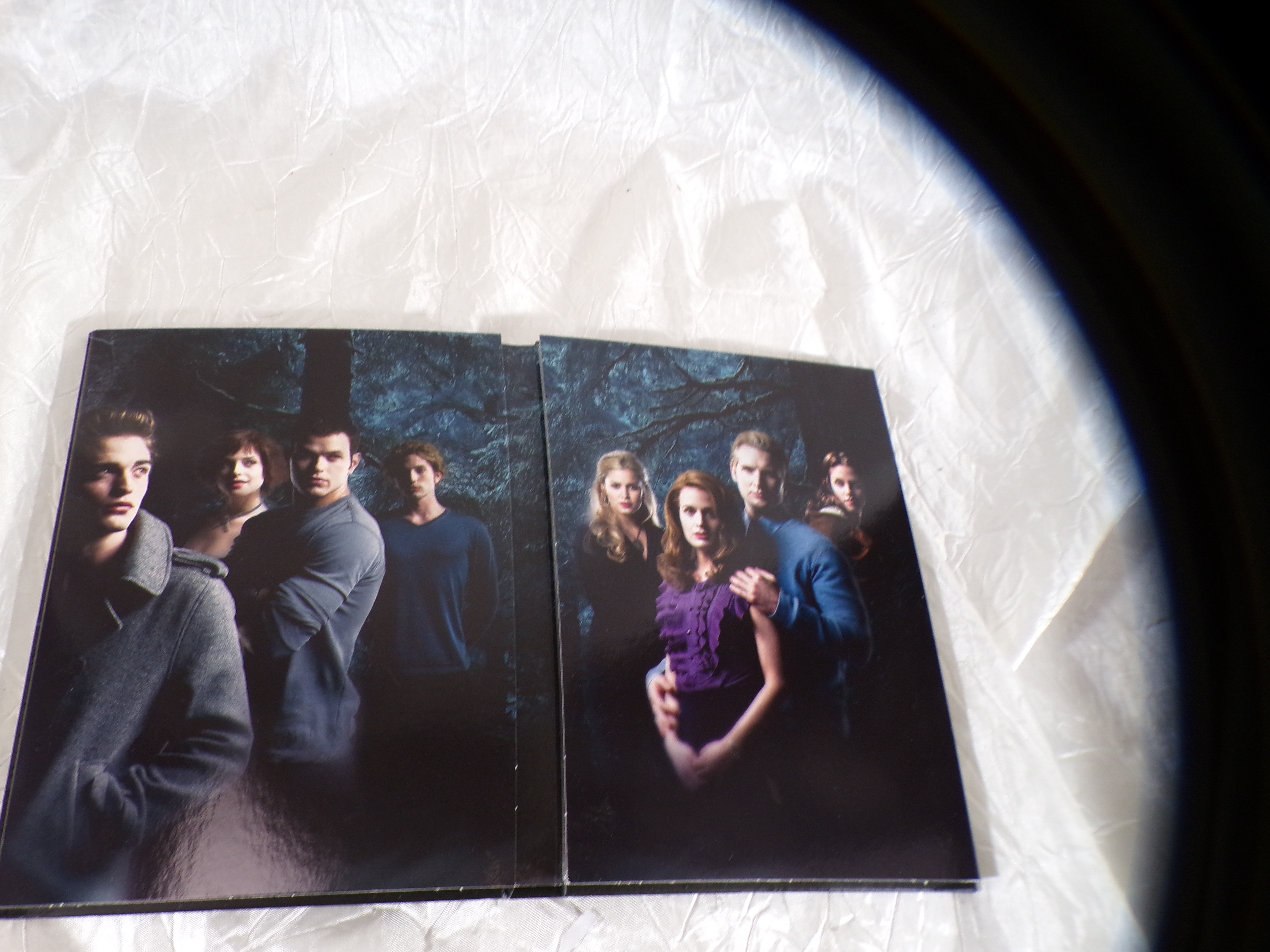 Voir photo 4 de DVD collector "Steelbook" saga Twilight, Fascination. DVD collector "Steelbook" saga Twilight, Fascination. Très bon état - Vue 4 -