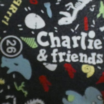 Sandales bleues imprimées multicolores - Enfant - CHARLIE & FRIENDS - Pointures 26 - Photo 4