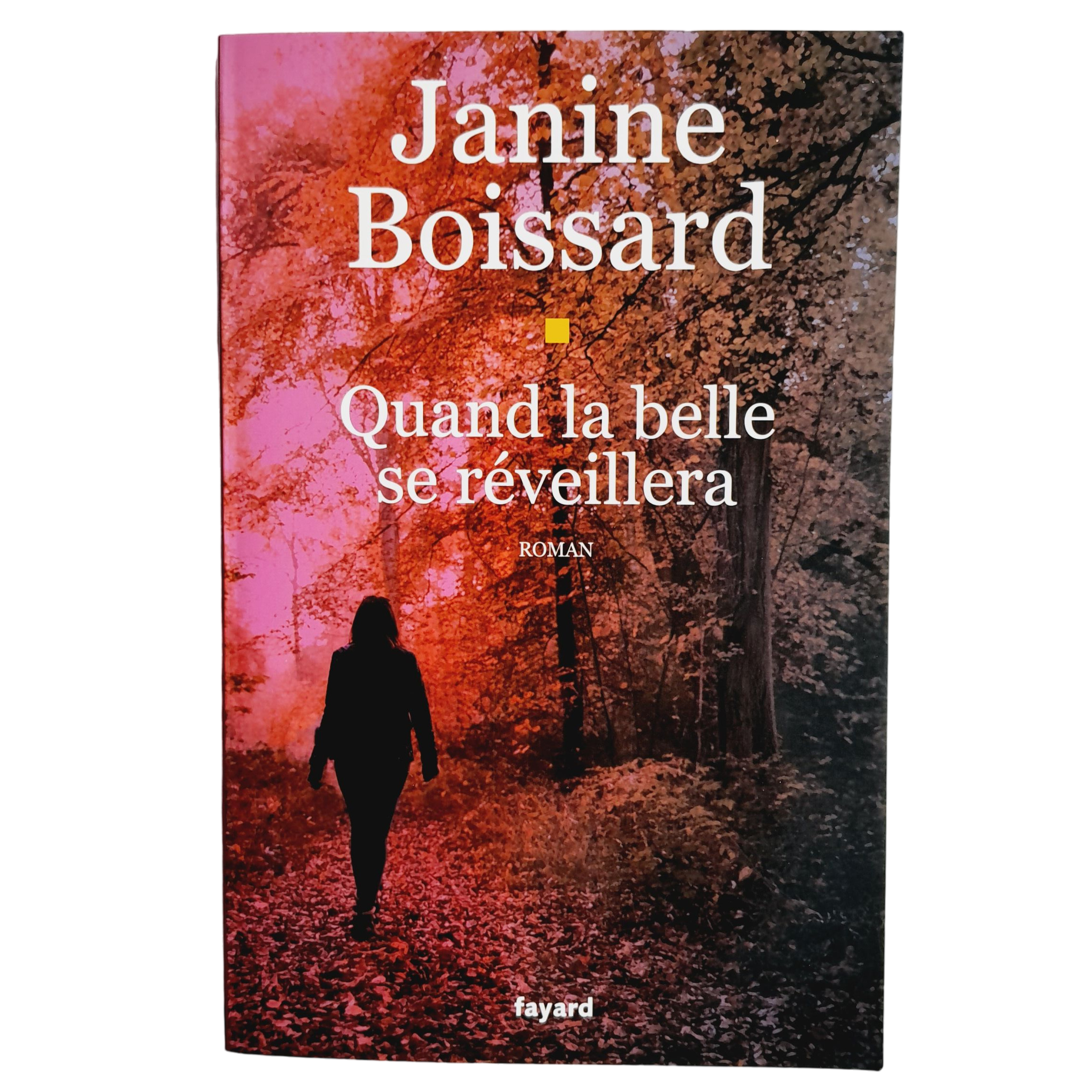 Quand la belle se réveillera - Janine Boissard - Photo 0