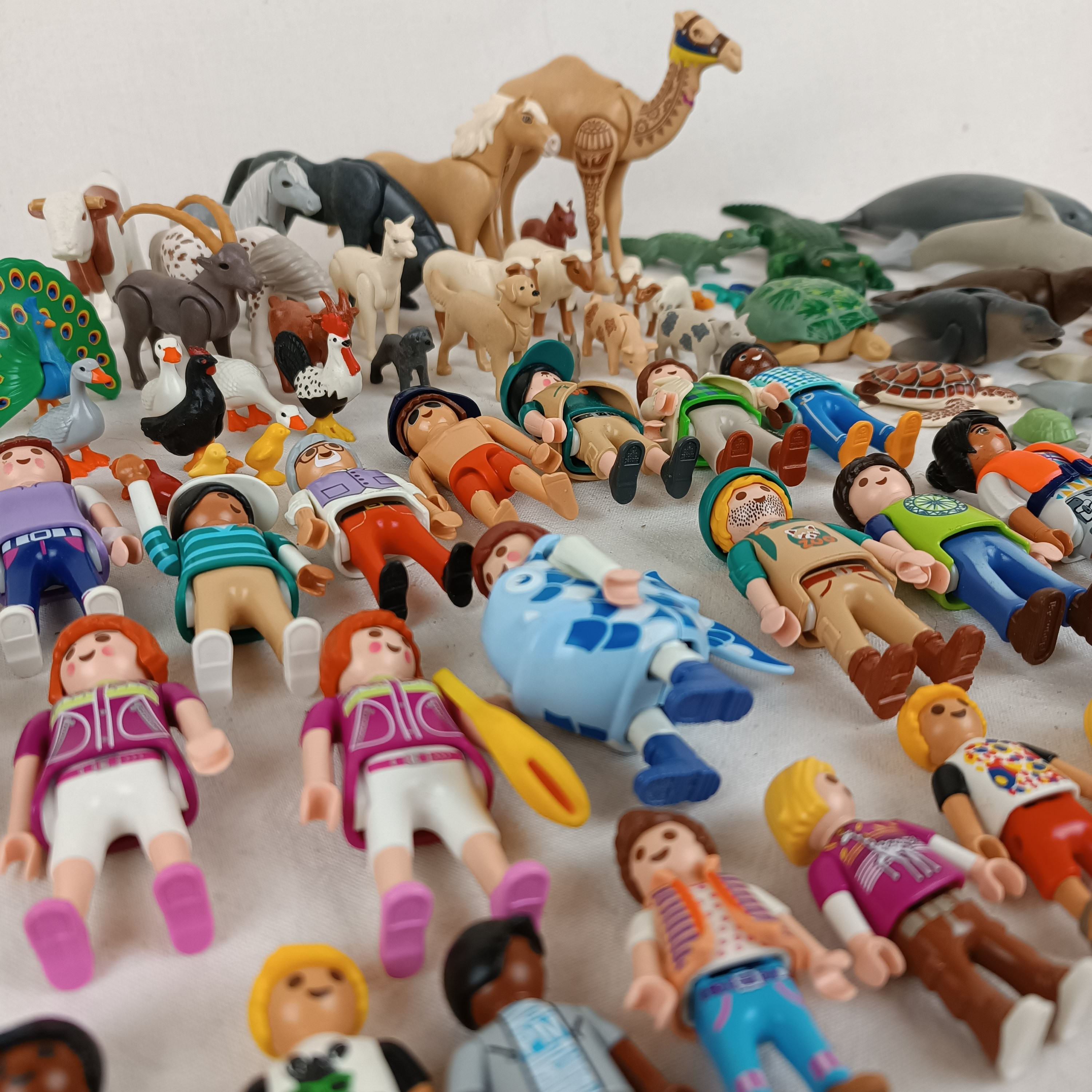 Ensemble Playmobil Zoo, Parc animalier et autres extensions : 175 animaux, 24 personnages Bon état - Vue 36 - 