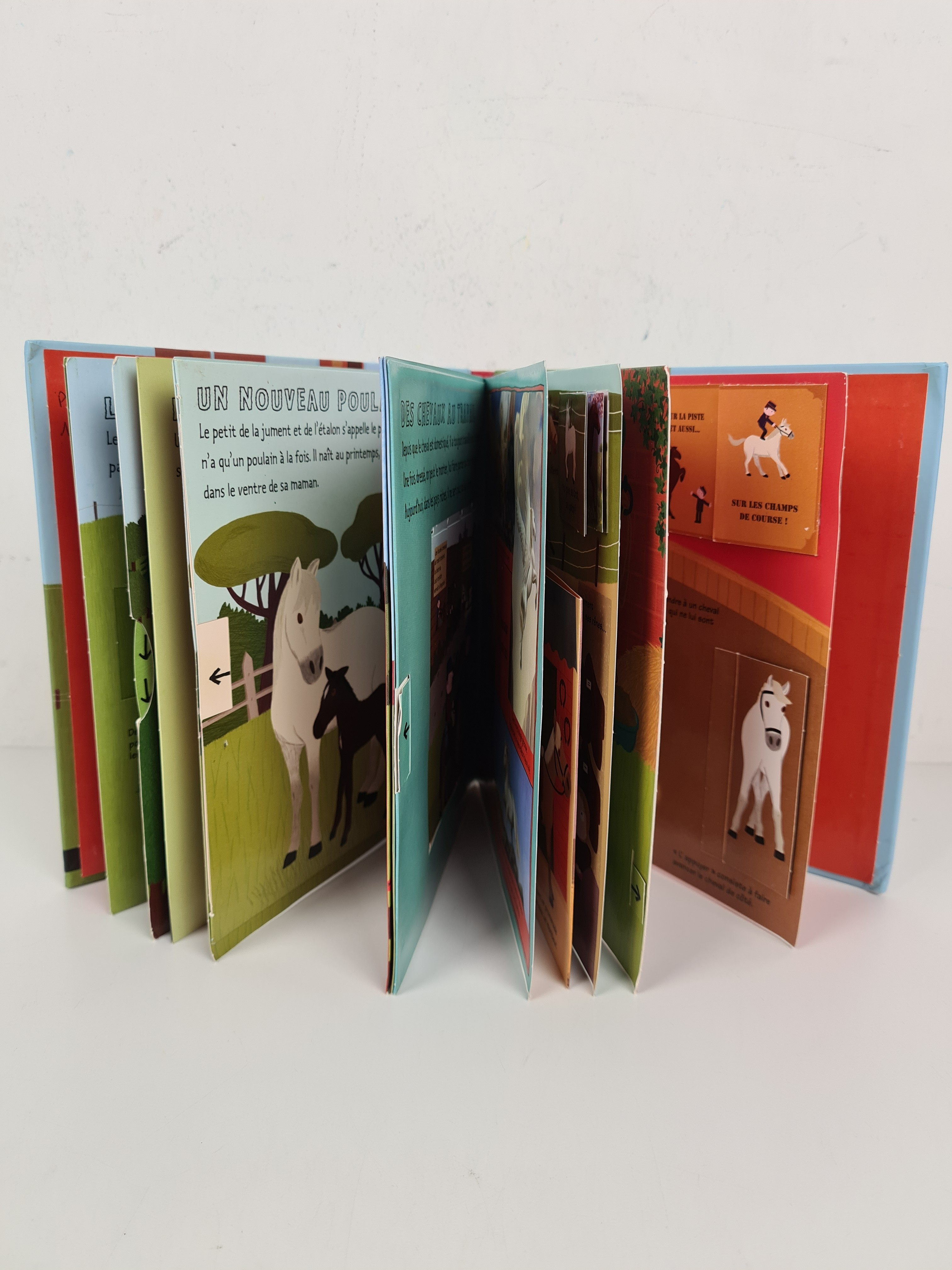 Livre documentaire - Les chevaux et les poneys - Kididoc - Nathan - 6 ans + - Photo 1