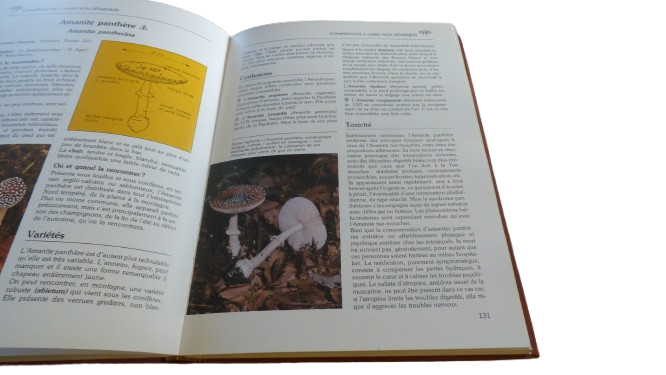 Le livre des champignons - 1988 - Photo 7