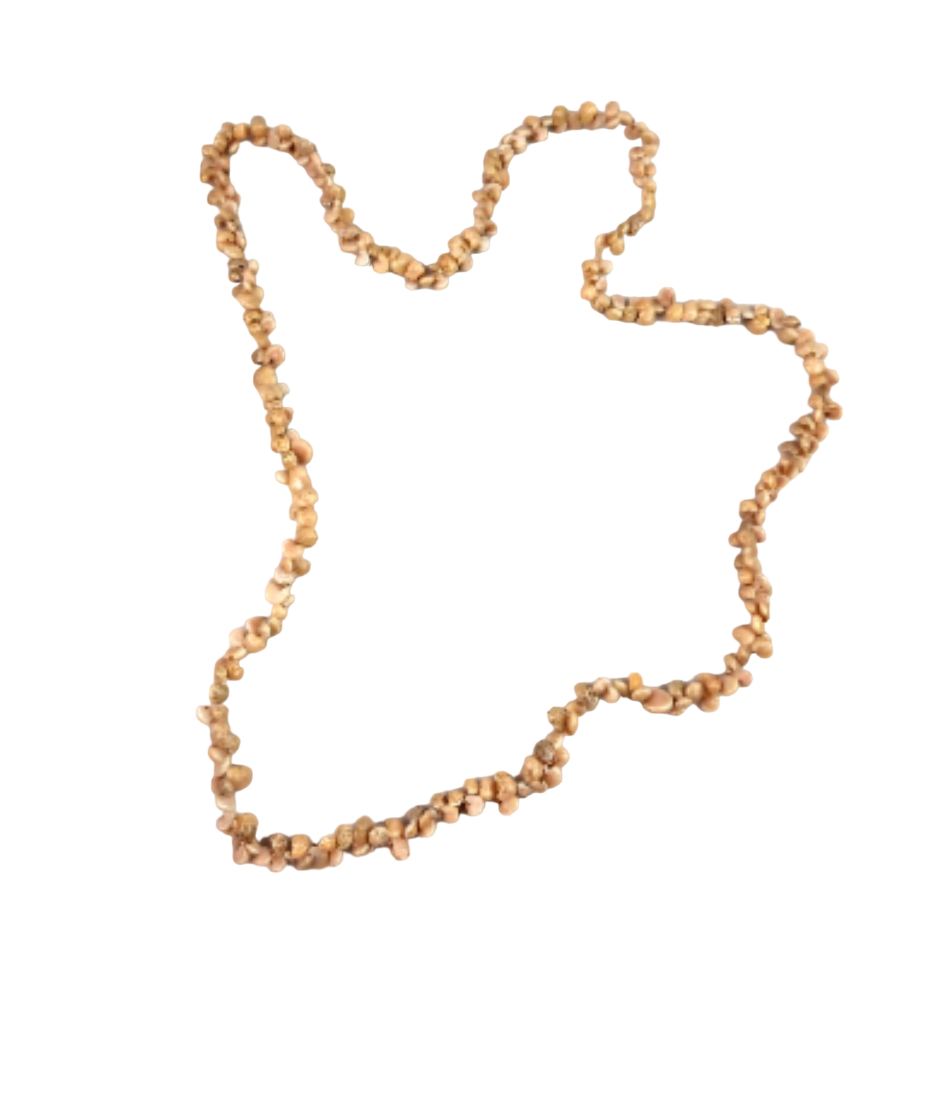 Jolie collier de petits coquillages - Label Emmaus - Modalova