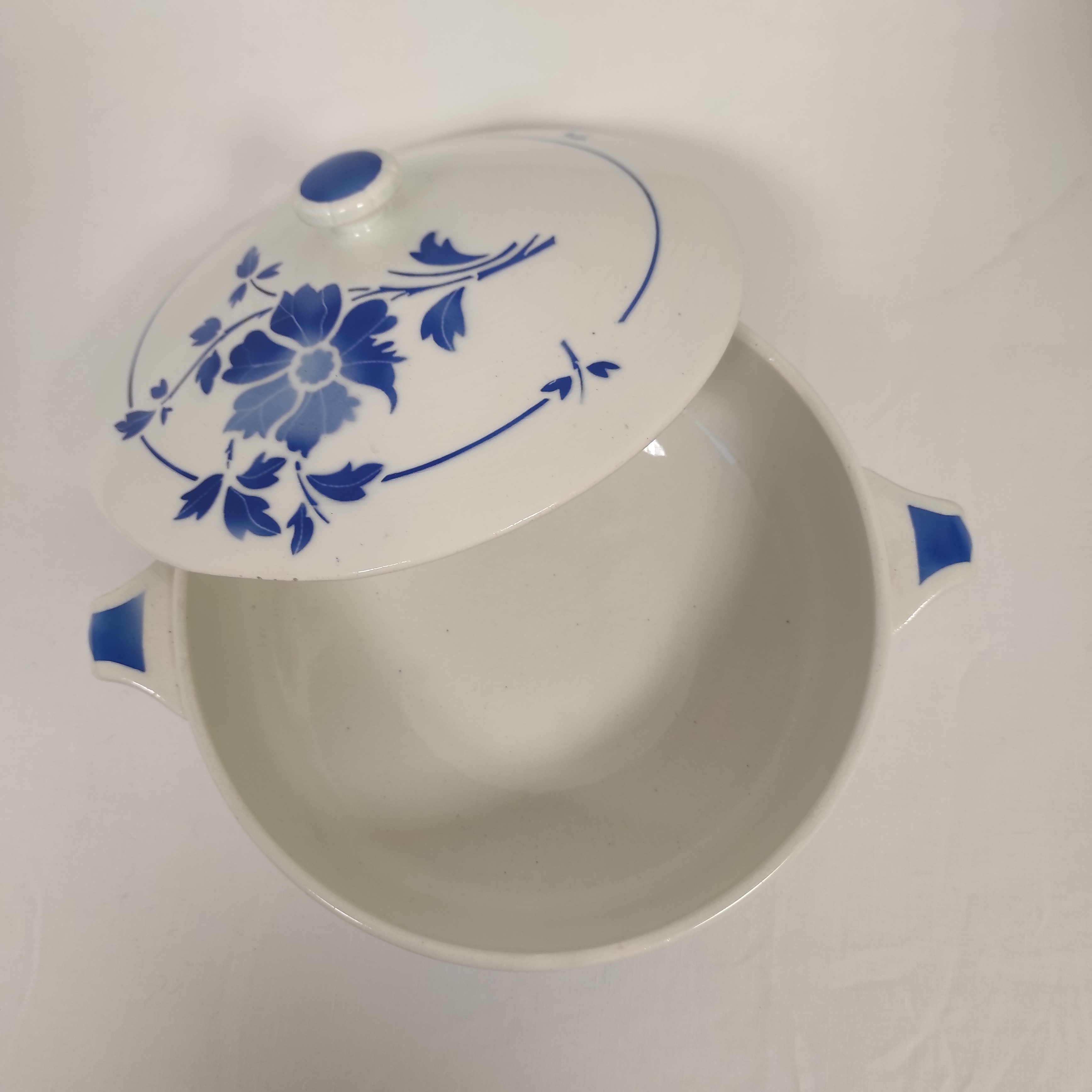 Décalcomanies Céramique – Fonds Glacés Fleurs Roses Et Bleues – Captive Decals