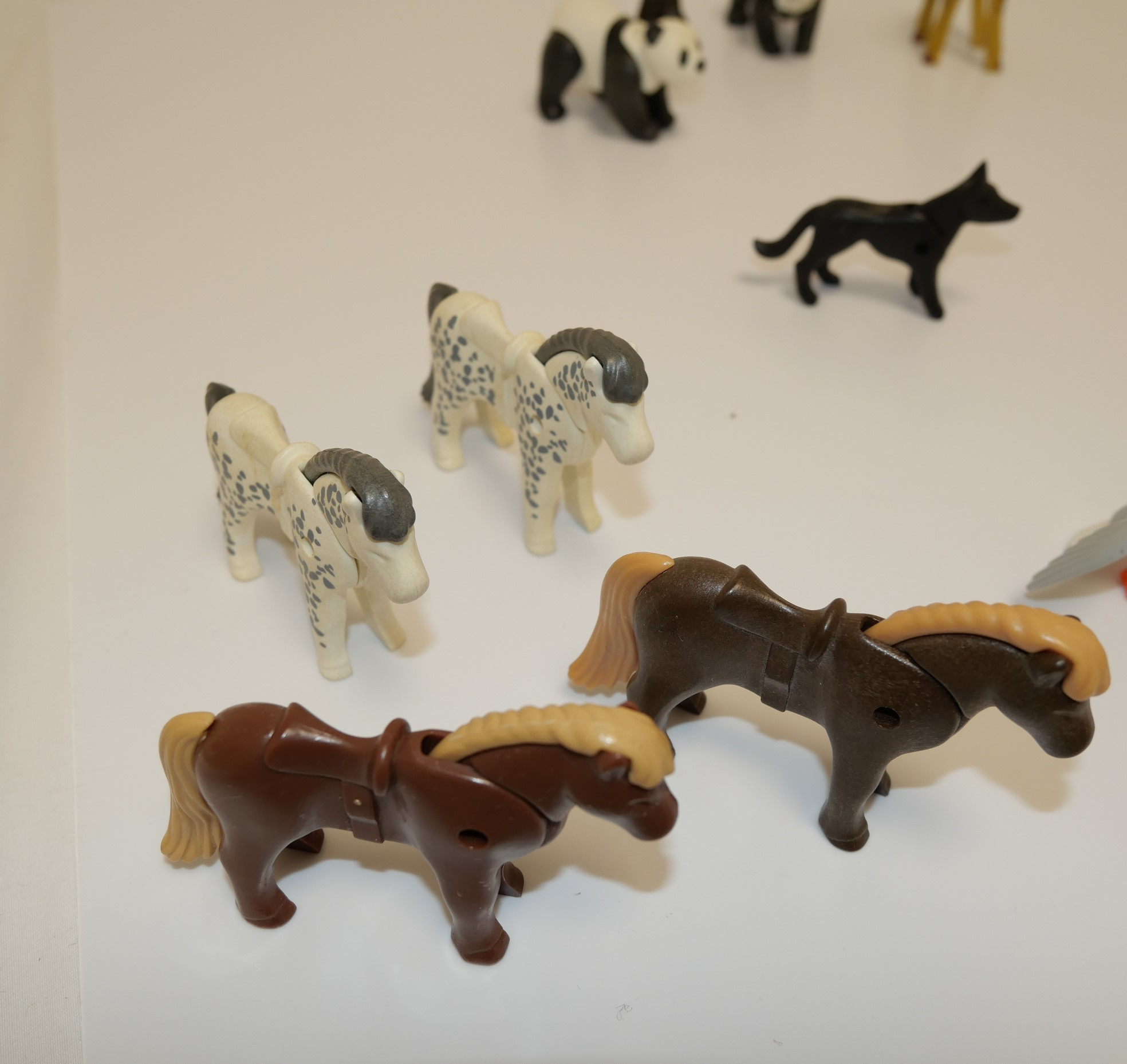 Voir photo 5 de Lot Animaux de l'univers Playmobil Lot Animaux de l'univers Playmobil Bon état - Vue 5 -