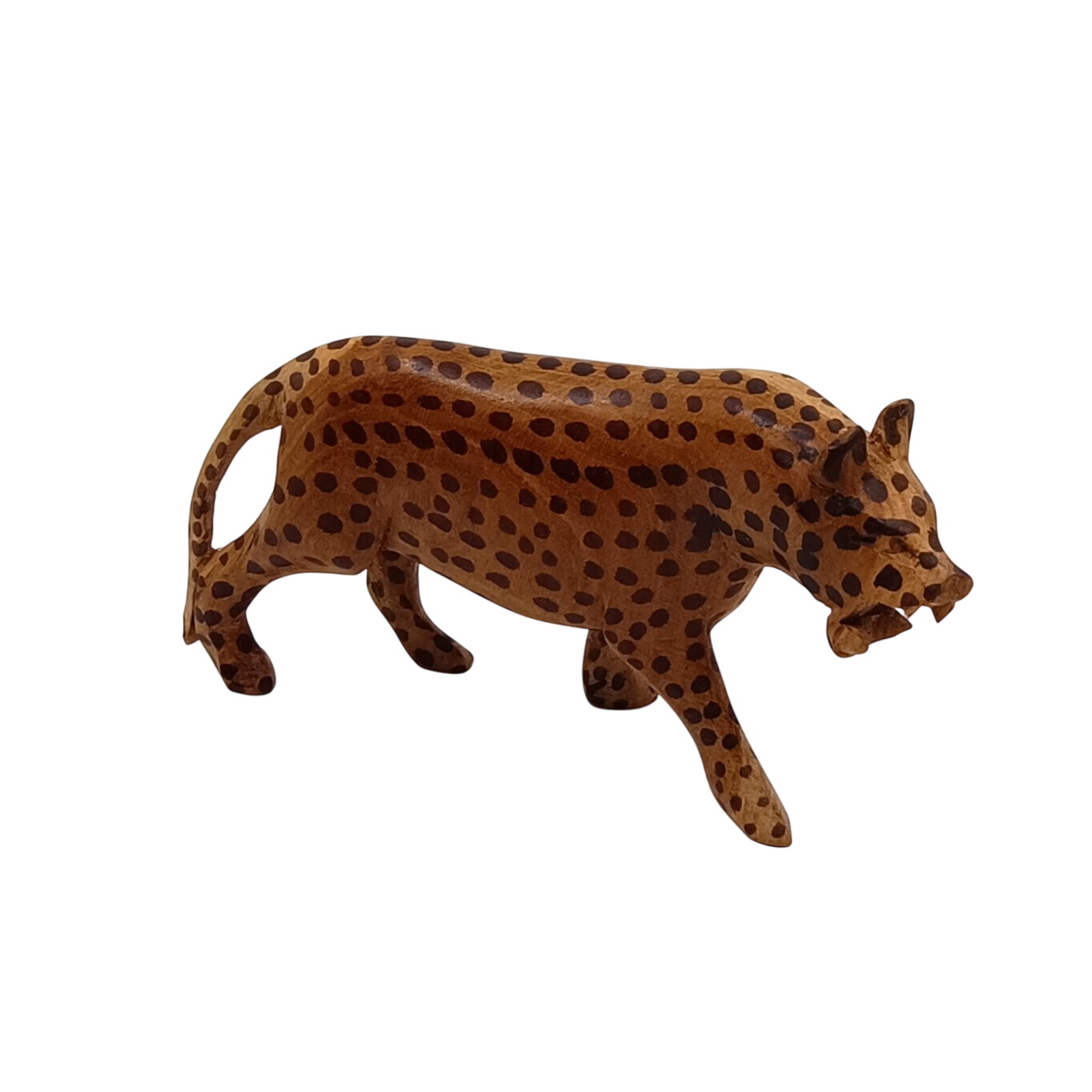 Guépard - Photo 0