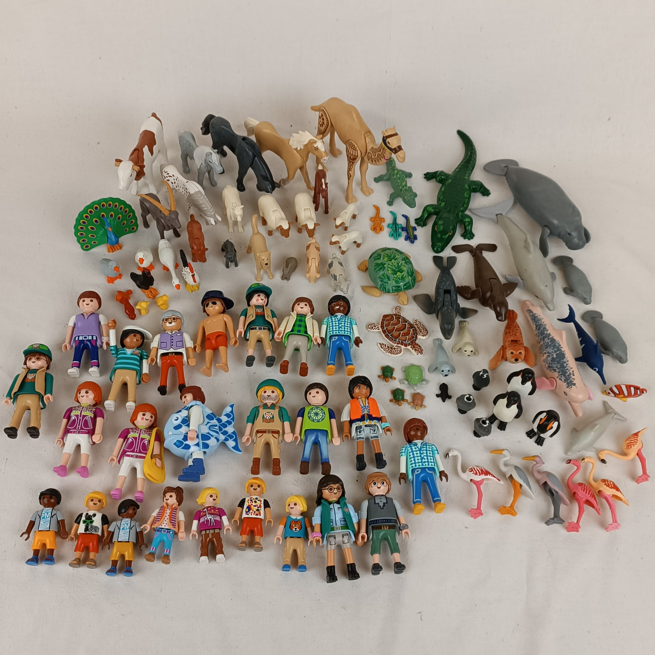 Ensemble Playmobil Zoo, Parc animalier et autres extensions : 175 animaux, 24 personnages Bon état - Vue 5 - 