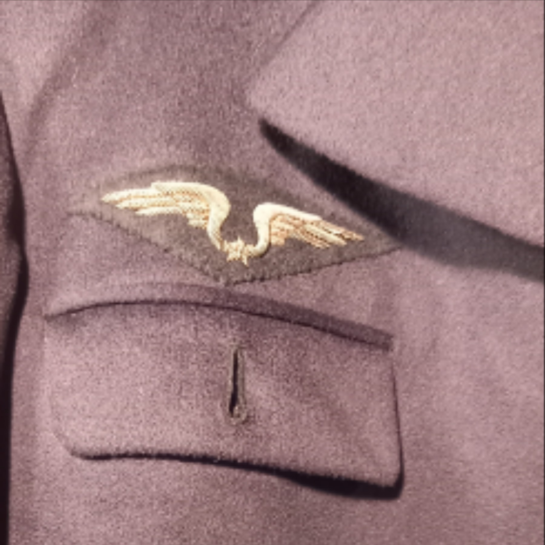 VESTE ROYAL AIR FORCE . Ecusson Fil Métallique Bon état - Vue 6 - 
