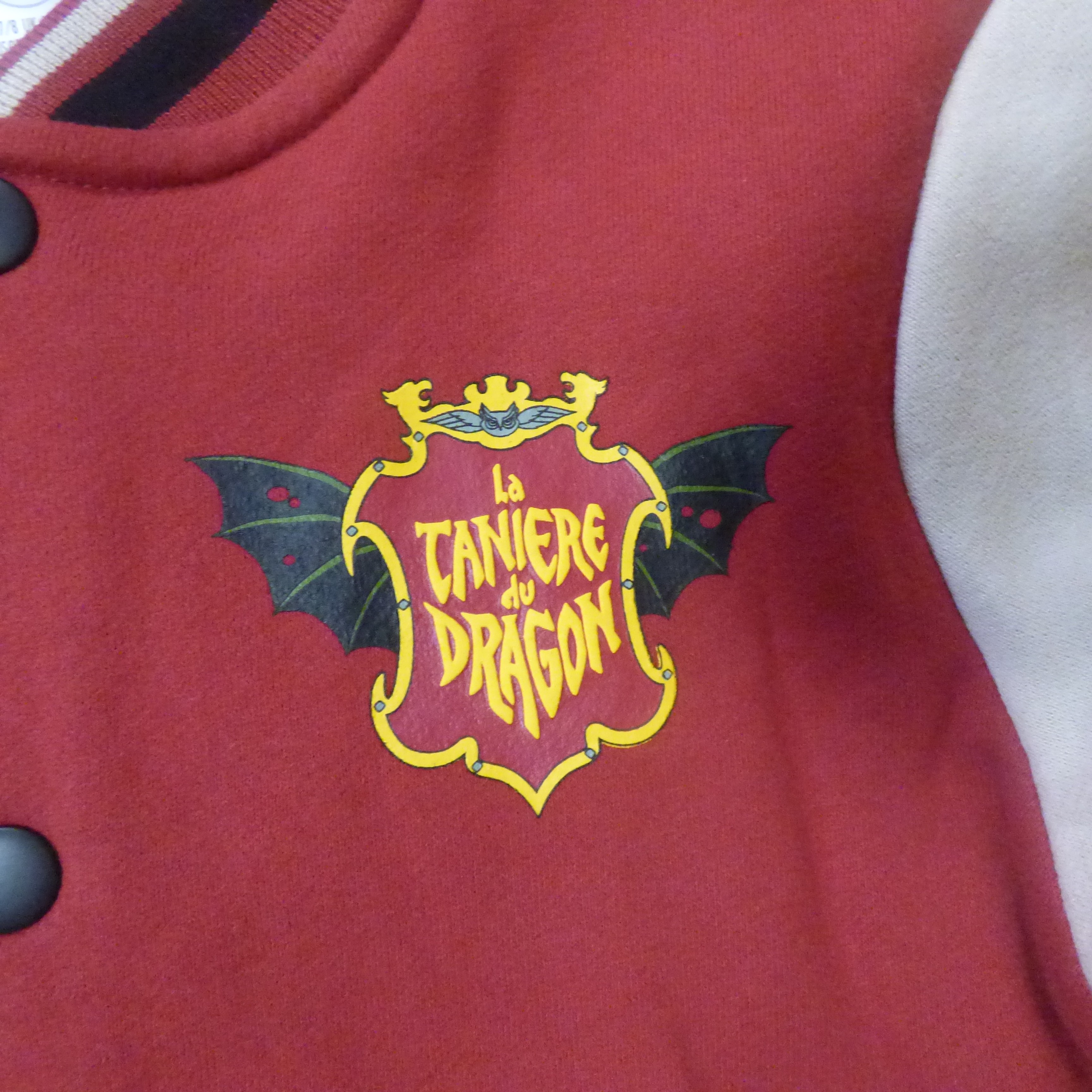 VESTE "LA TANIERE DU DRAGON" DISNEY TAILLE 5/6 ANS NEUVE  - Vue 3 - 