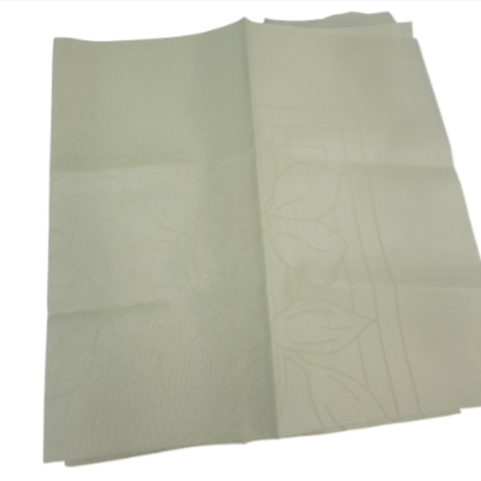 2 coussins de soie présertis 45x45 cm Très bon état - Vue 2 - 