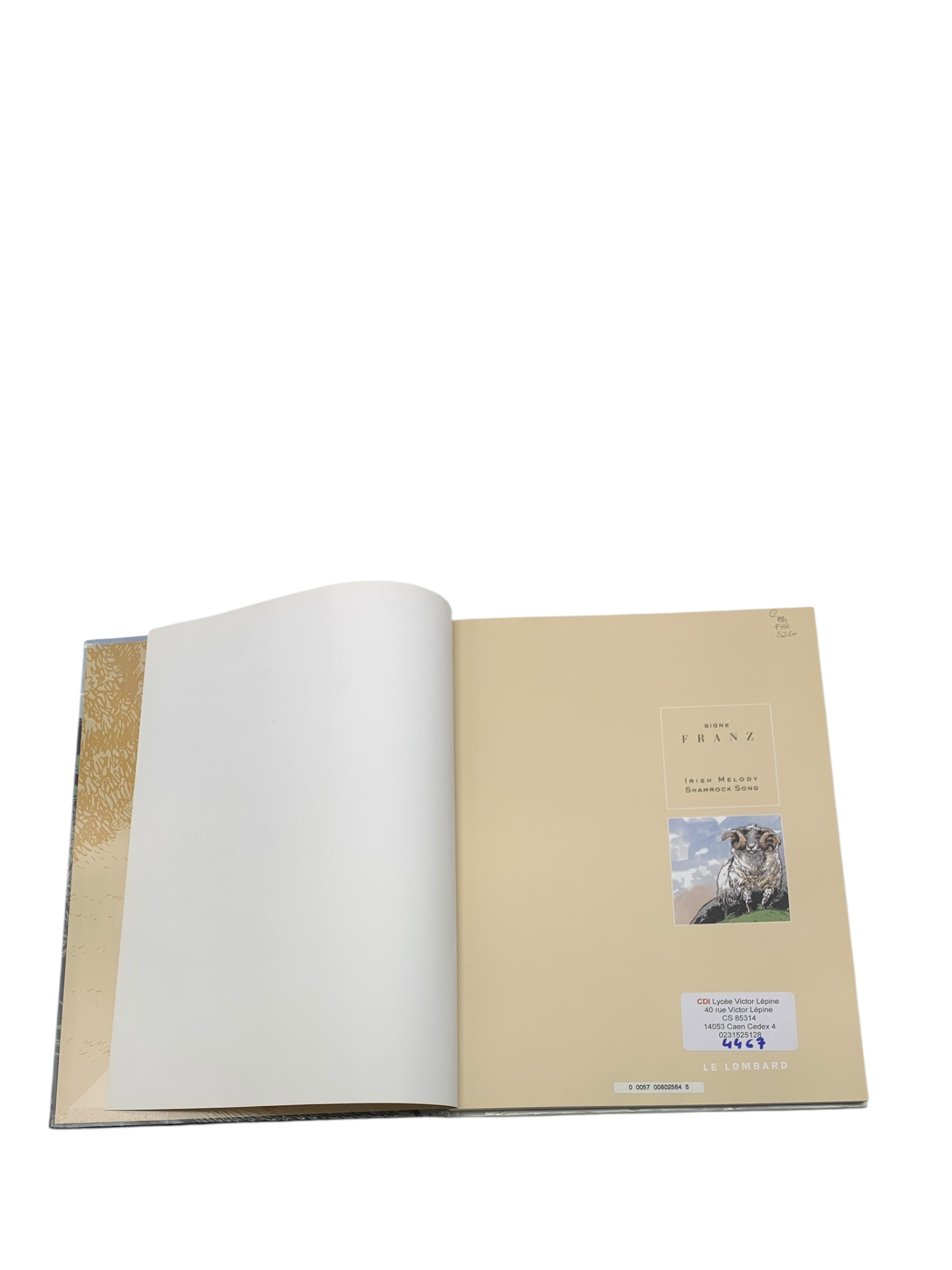 Irish Melody + Shamrock Song - Photo 3