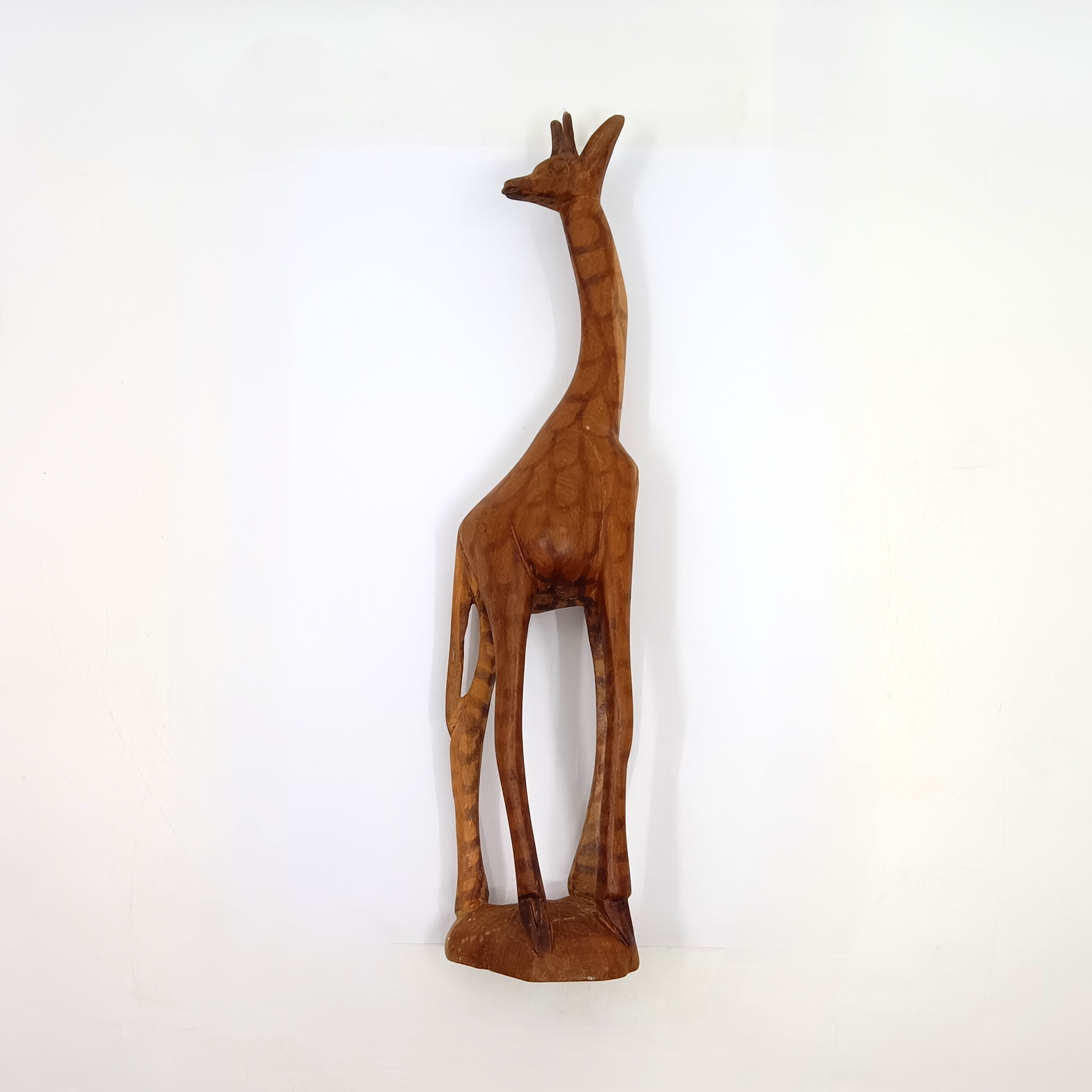Girafe - Photo 2