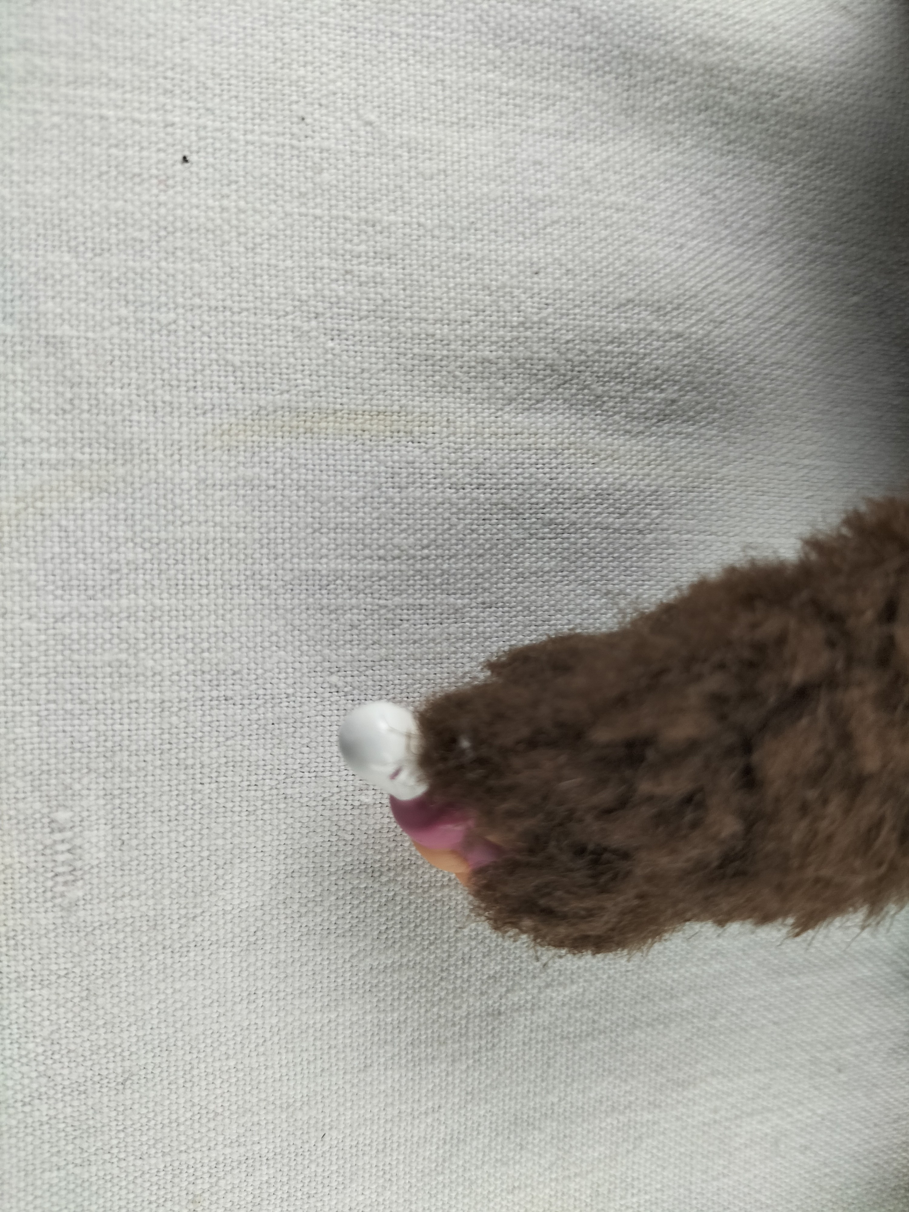 Voir photo 10 de Charmante peluche vintage type singe “Kiki” – Icône des années 70/80 pleine de douceur Charmante peluche vintage type singe “Kiki” – Icône des années 70/80 pleine de douceur Bon état - Vue 10 -