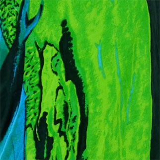 Paréo vert et bleu imprimé dauphins - Femme - 150*104 cm - Photo 2