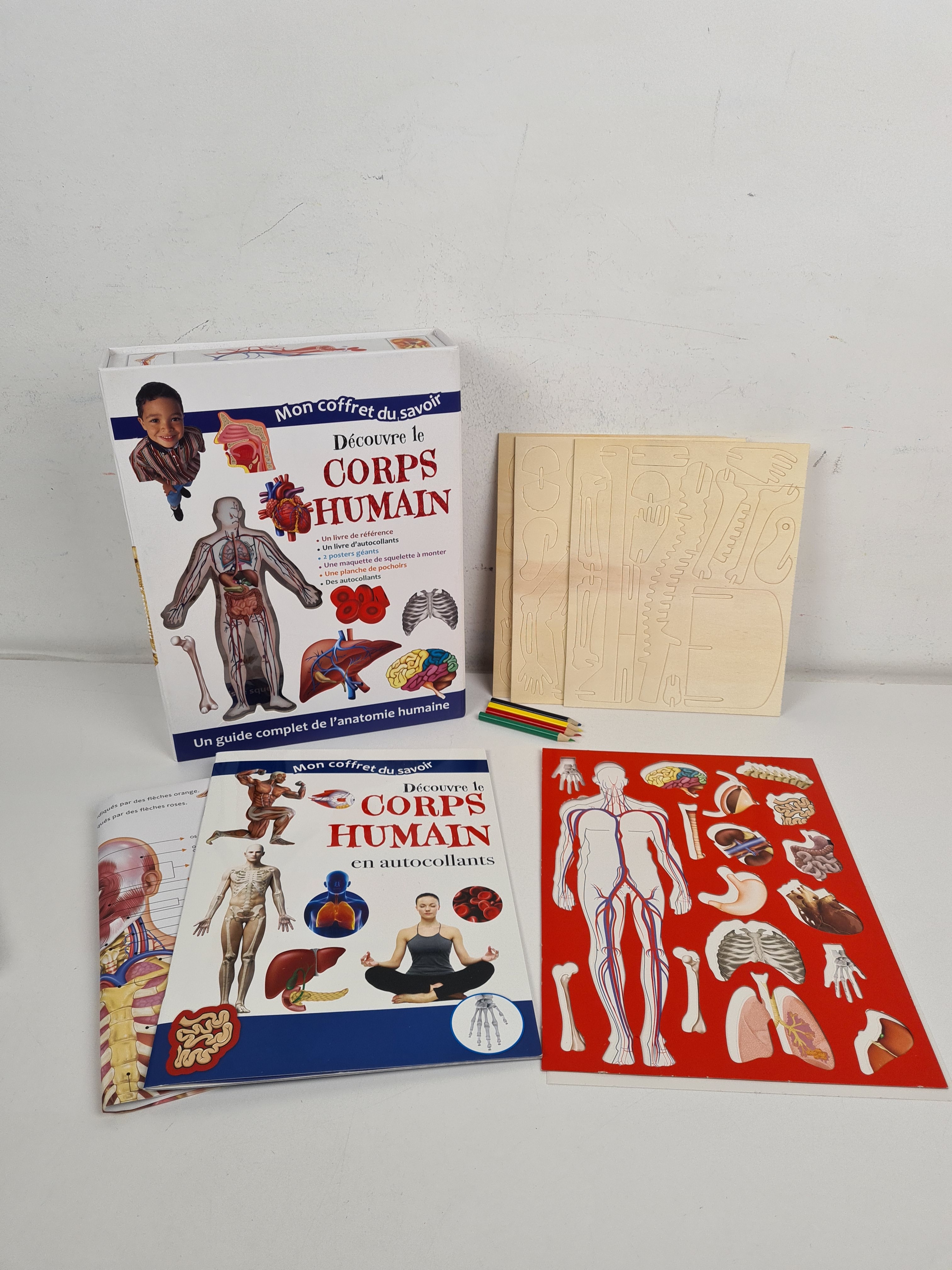 Voir photo 3 de Mon coffret du savoir - Découvre le corps humain - Guide complet de l'anatomie humaine - 6 ans + Mon coffret du savoir - Découvre le corps humain - Guide complet de l'anatomie humaine - 6 ans + Bon état - Vue 3 -