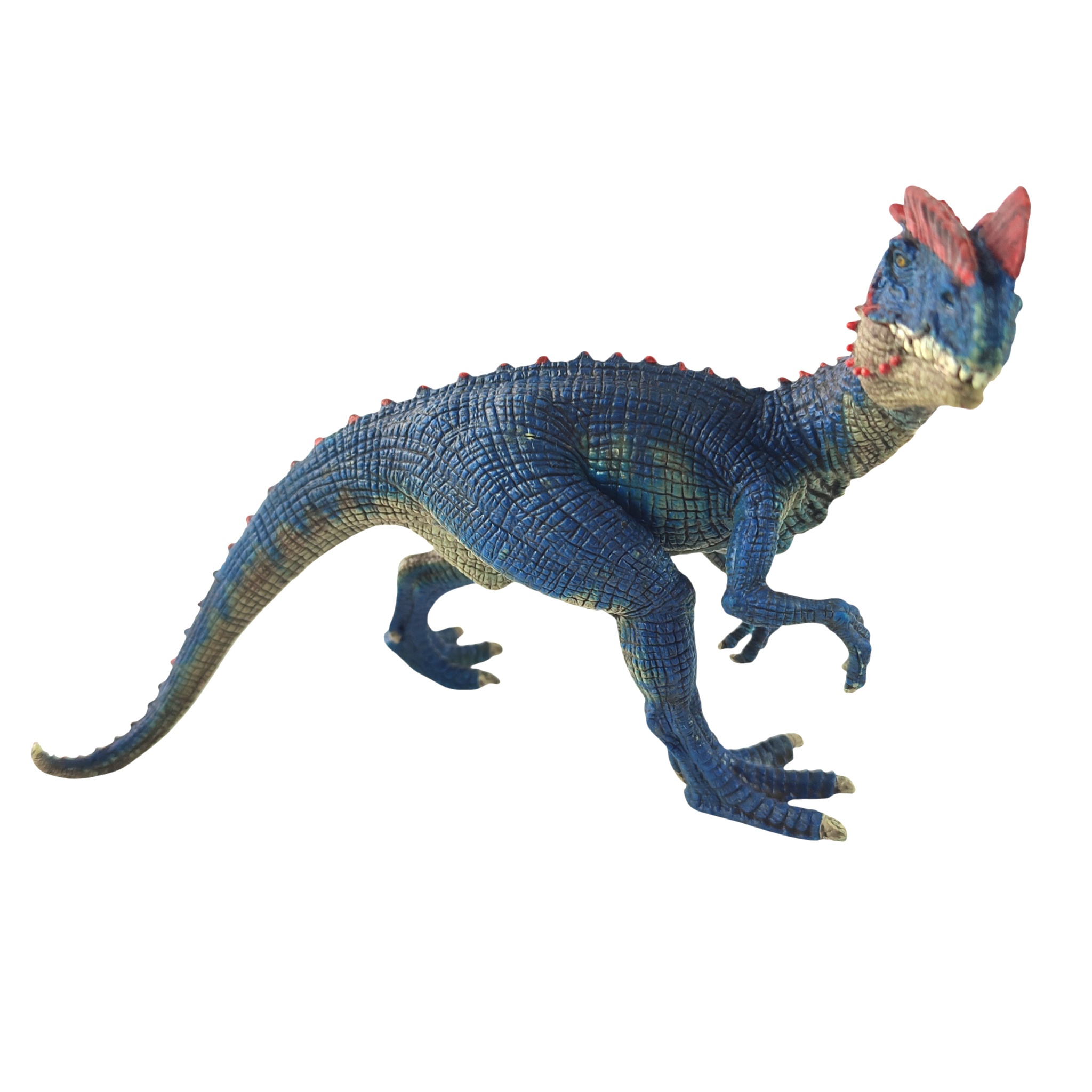 Acheter Dinosaure Dilophosaure - Schleich - 15,00 € Dinosaure Dilophosaure - Schleich - reconditionné disponible sur Label Emmaüs