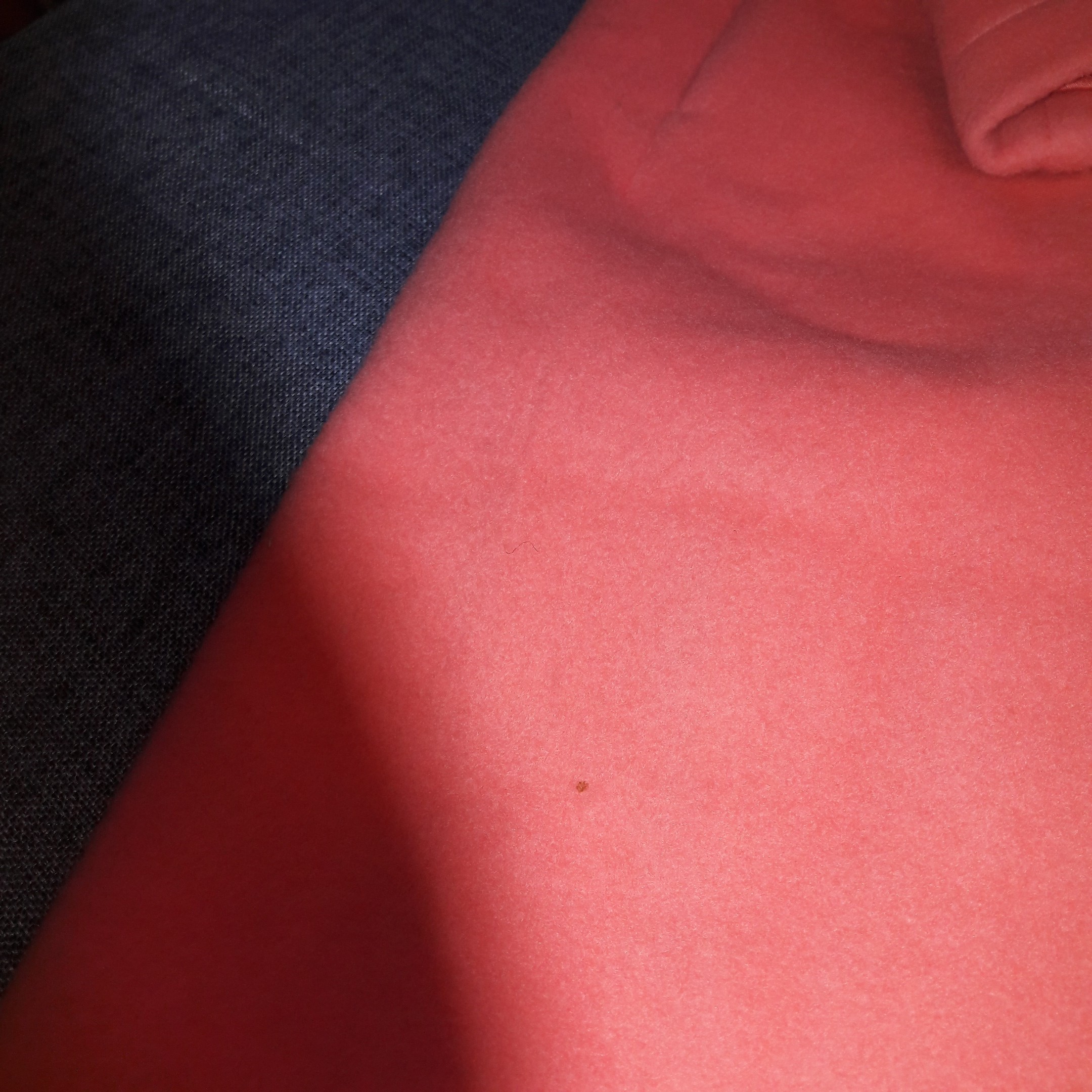 Voir photo 4 de Manteau Burberry Manteau Burberry Comme neuf - Vue 4 -