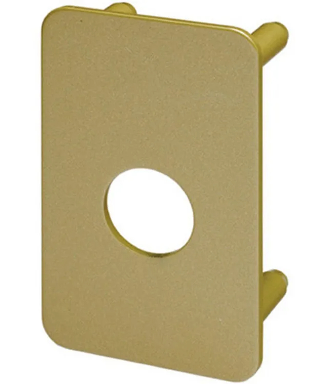 Plaque de renfort pour verrou renforcé, VACHETTE 6754v/sc bronze - Photo 1