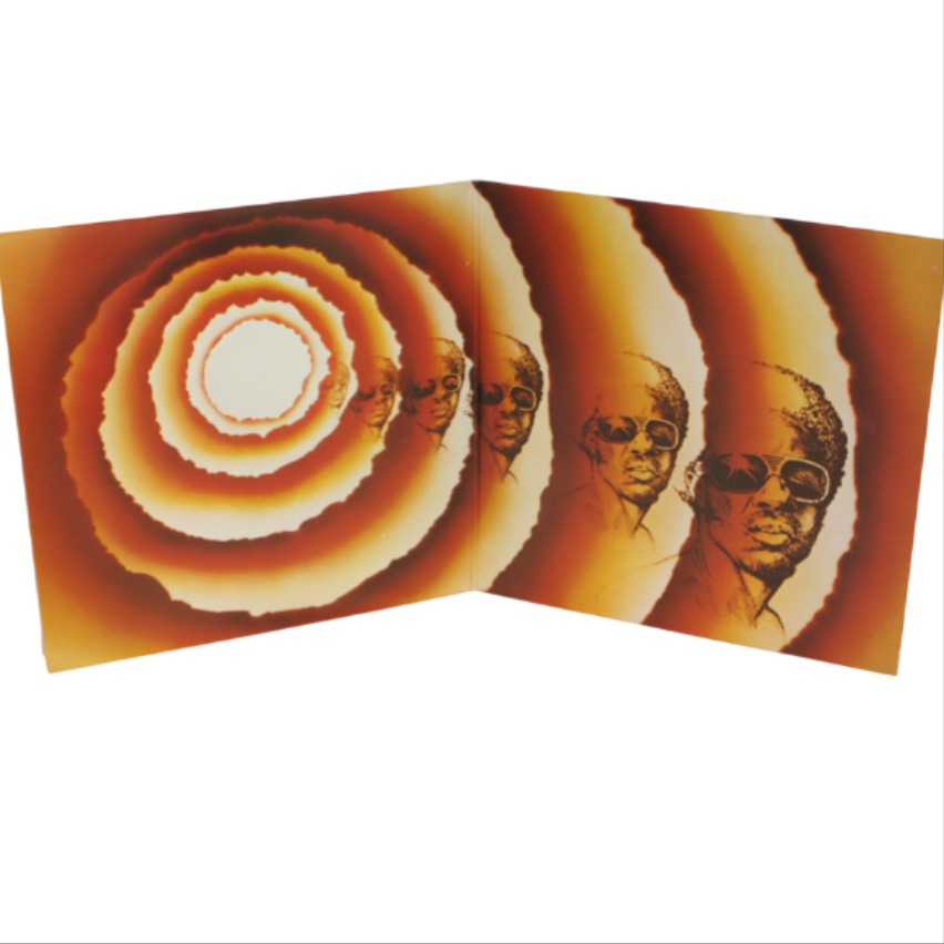 Vinyle collector double album de Stevie Wonder - Photo 1
