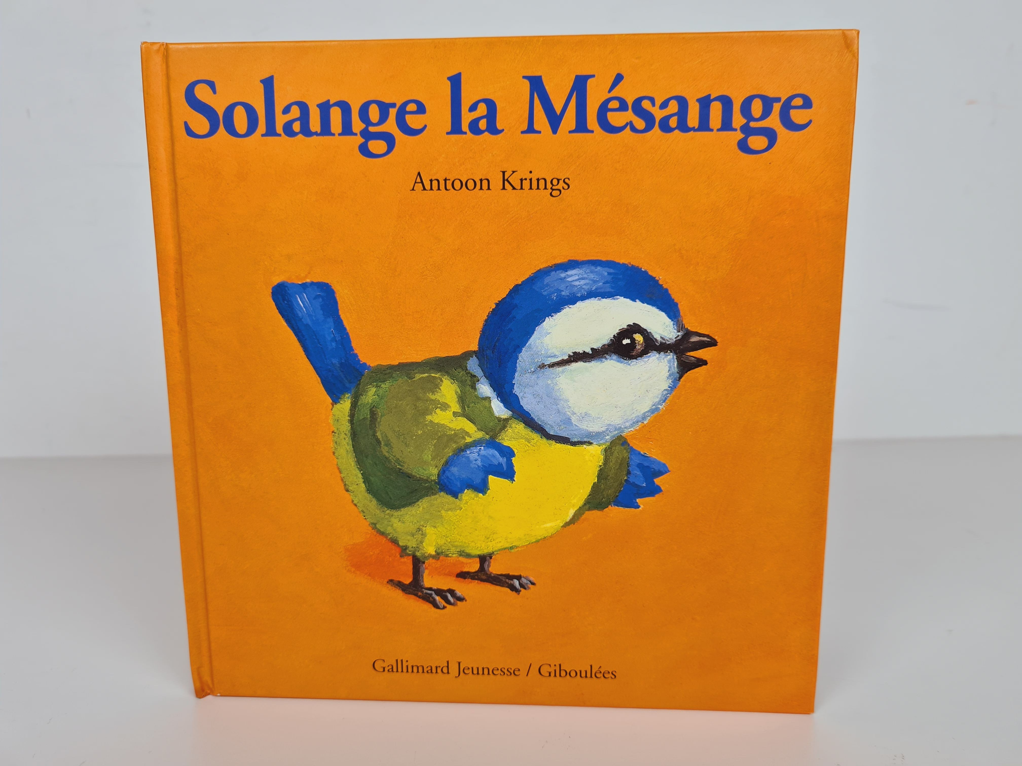 Livre jeunesse - drôles de petites Bêtes - Solange la Mésange