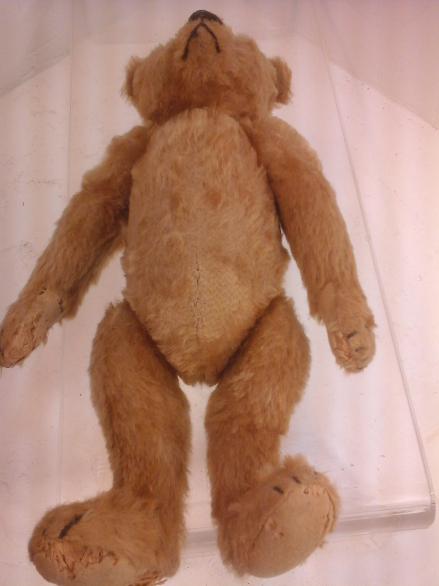 Ancien ours en peluche vintage articulé à restaurer,style année s 50-60,collection. État correct - Vue 15 - 