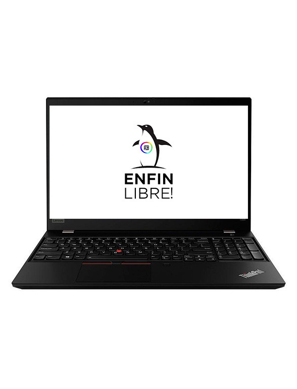 Enfin libre ! Lenovo ThinkPad T590 - Core i5-8365U Bon état -  reconditionné disponible sur Label Emmaüs