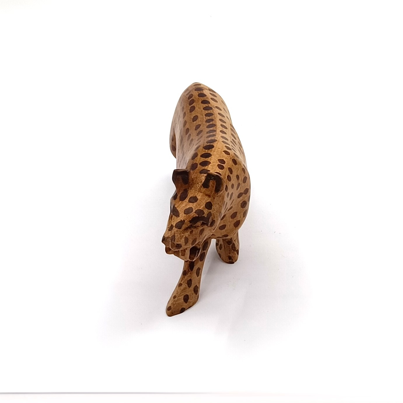 Guépard - Photo 1