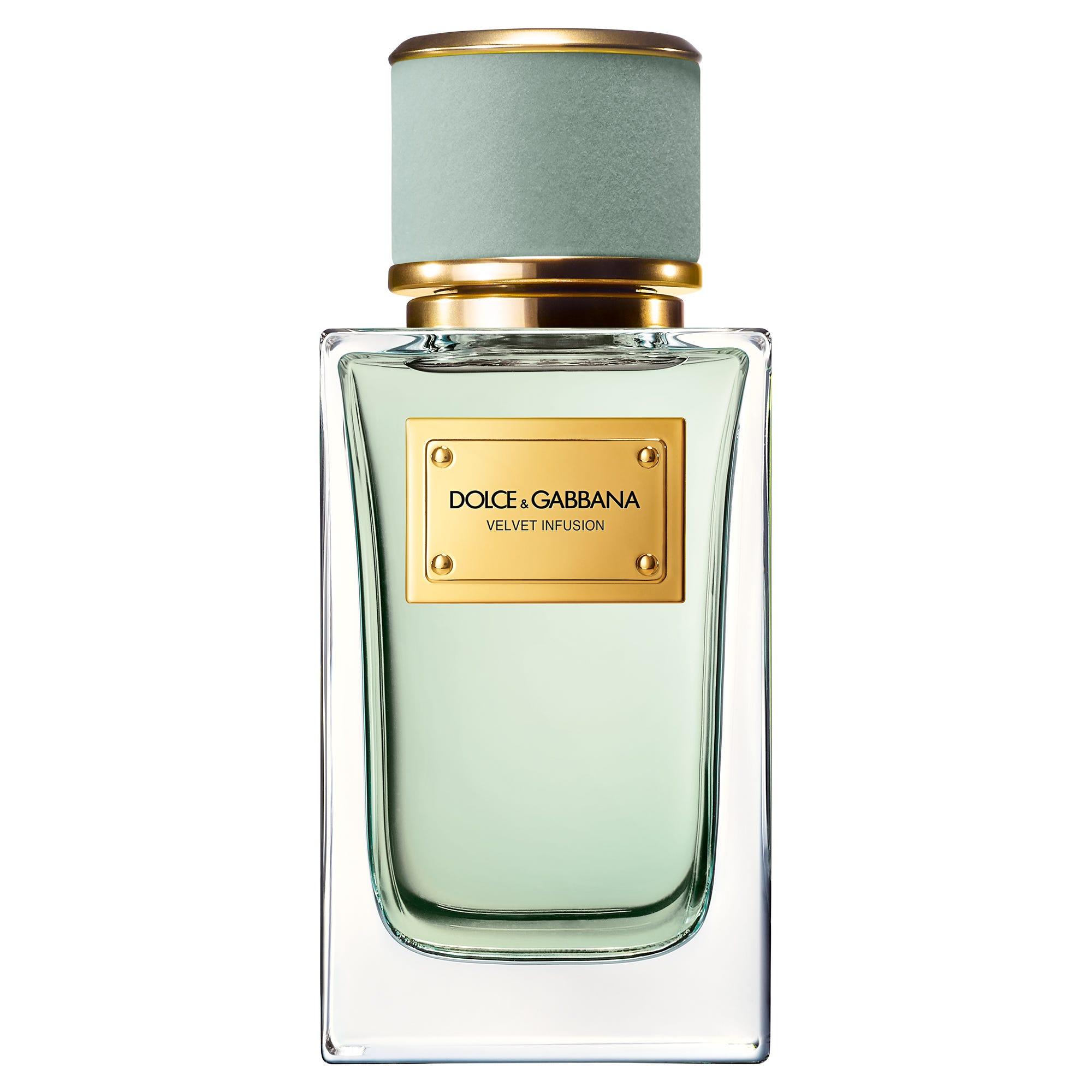 Dolce & Gabbana Velvet Infusion