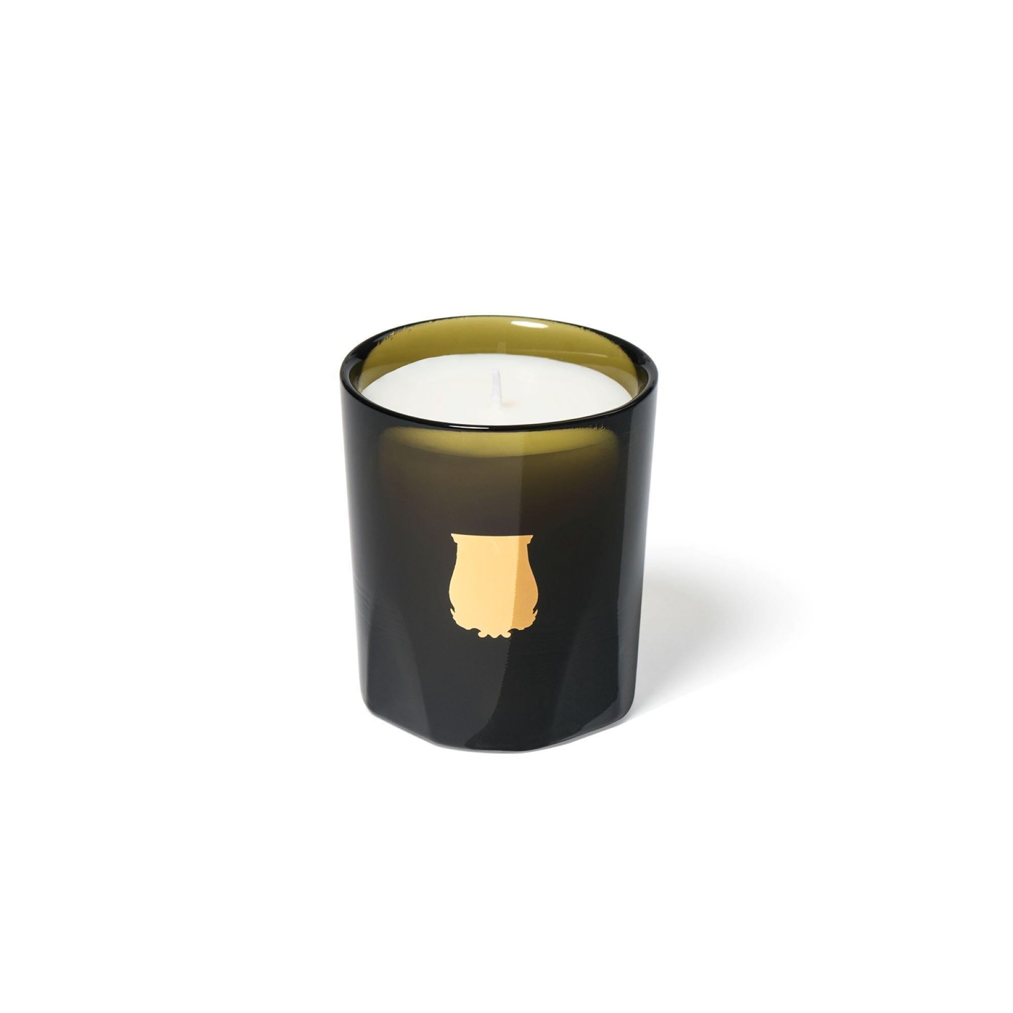 Trudon Candle Ernesto