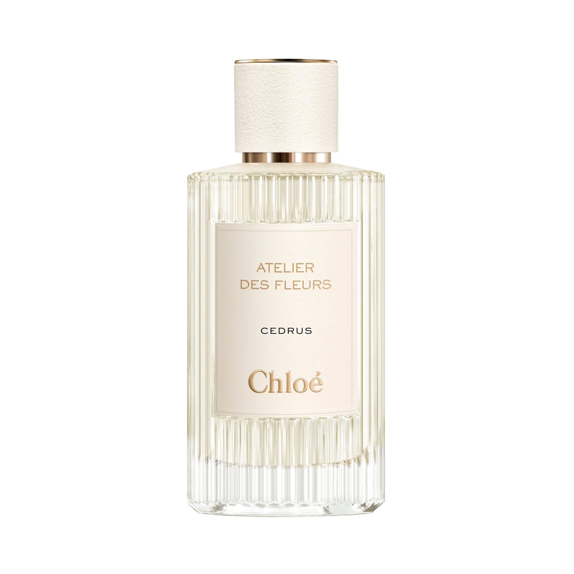 Extime - Chloé Atelier Des Fleurs Cedrus
