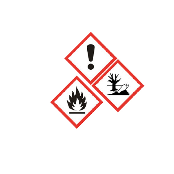 MAXXE Nettoyant Chaîne 2