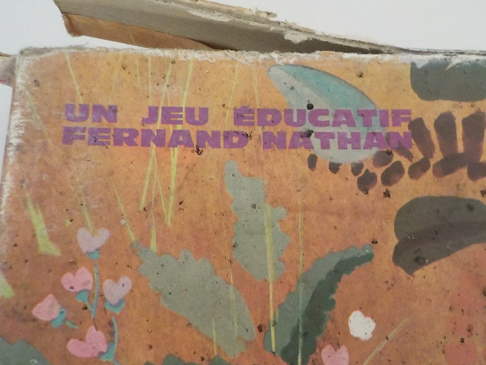 Ancien Jeu éducatif Loto des Champignons - État correct - Photo 12