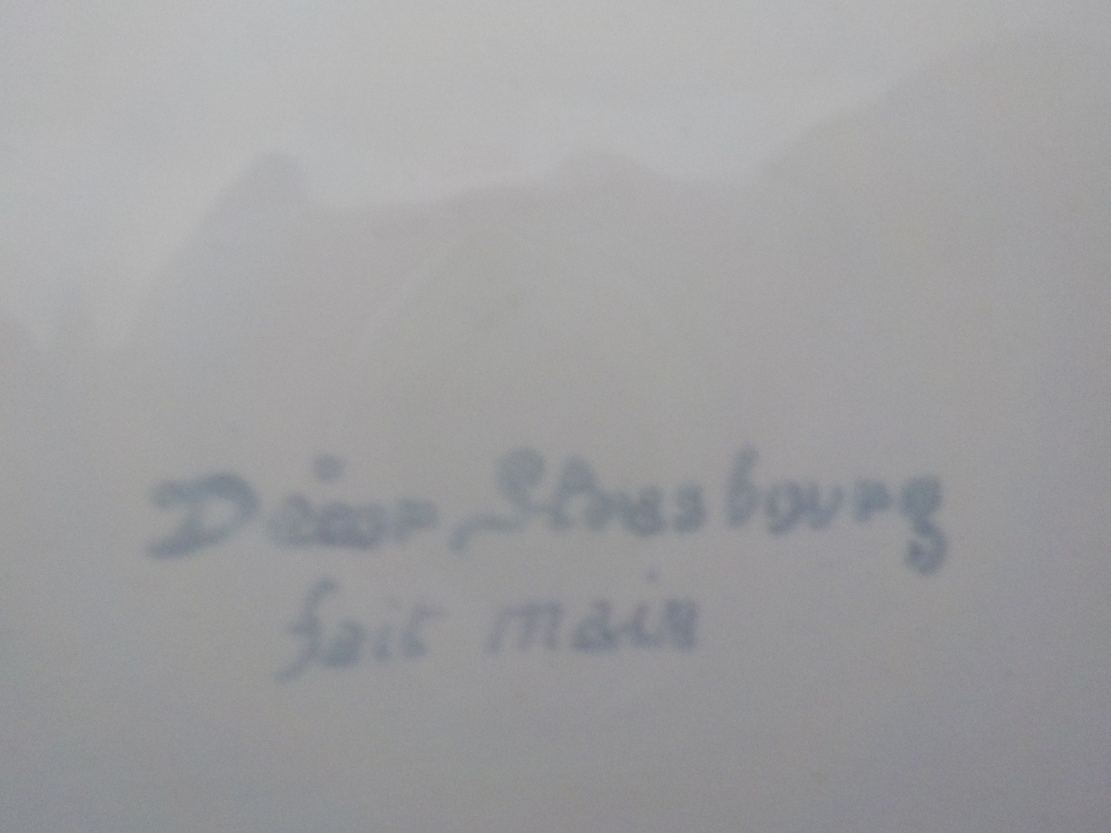 Légumier en faïence décor Strasbourg  - État correct - Photo 6