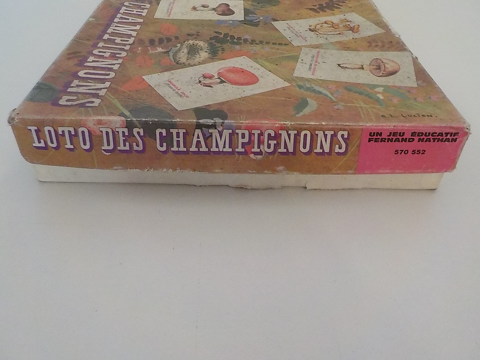 Ancien Jeu éducatif Loto des Champignons - État correct - Photo 13