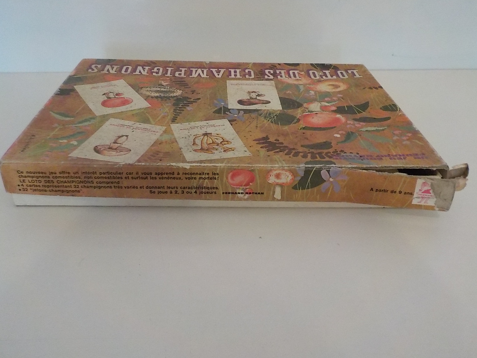 Ancien Jeu éducatif Loto des Champignons - État correct - Photo 15