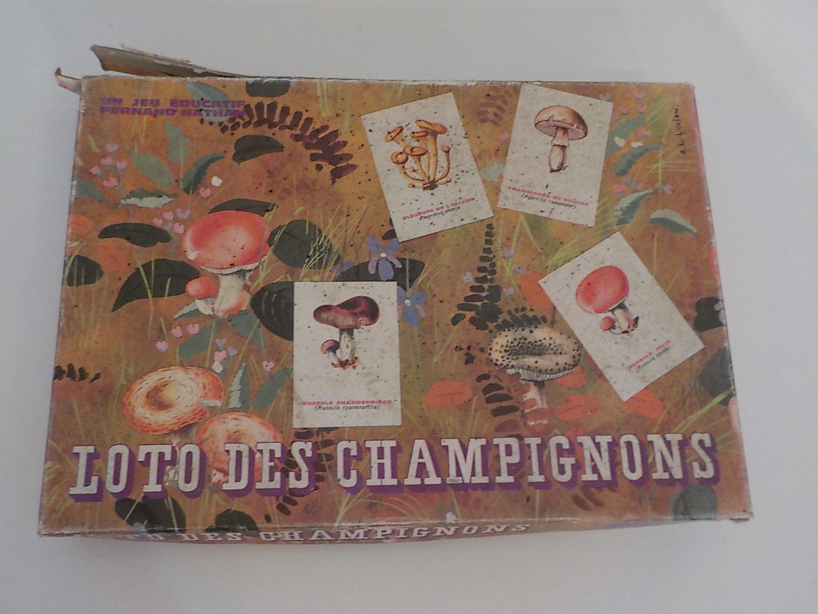 Ancien Jeu éducatif Loto des Champignons - État correct - Photo 11
