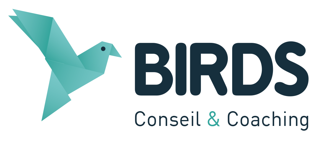 Logo de Birds Conseil